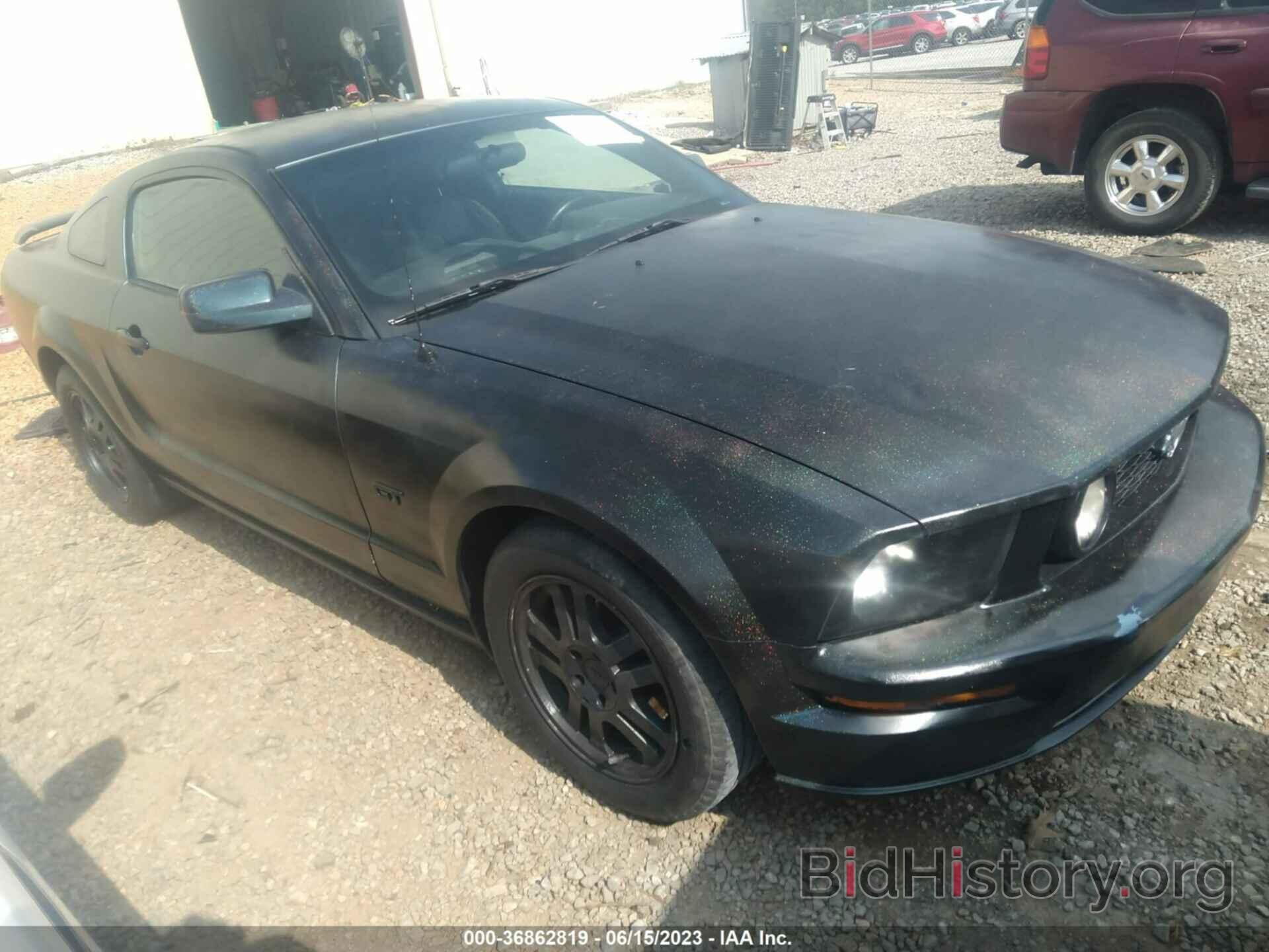 Photo 1ZVHT82H265237111 - FORD MUSTANG 2006