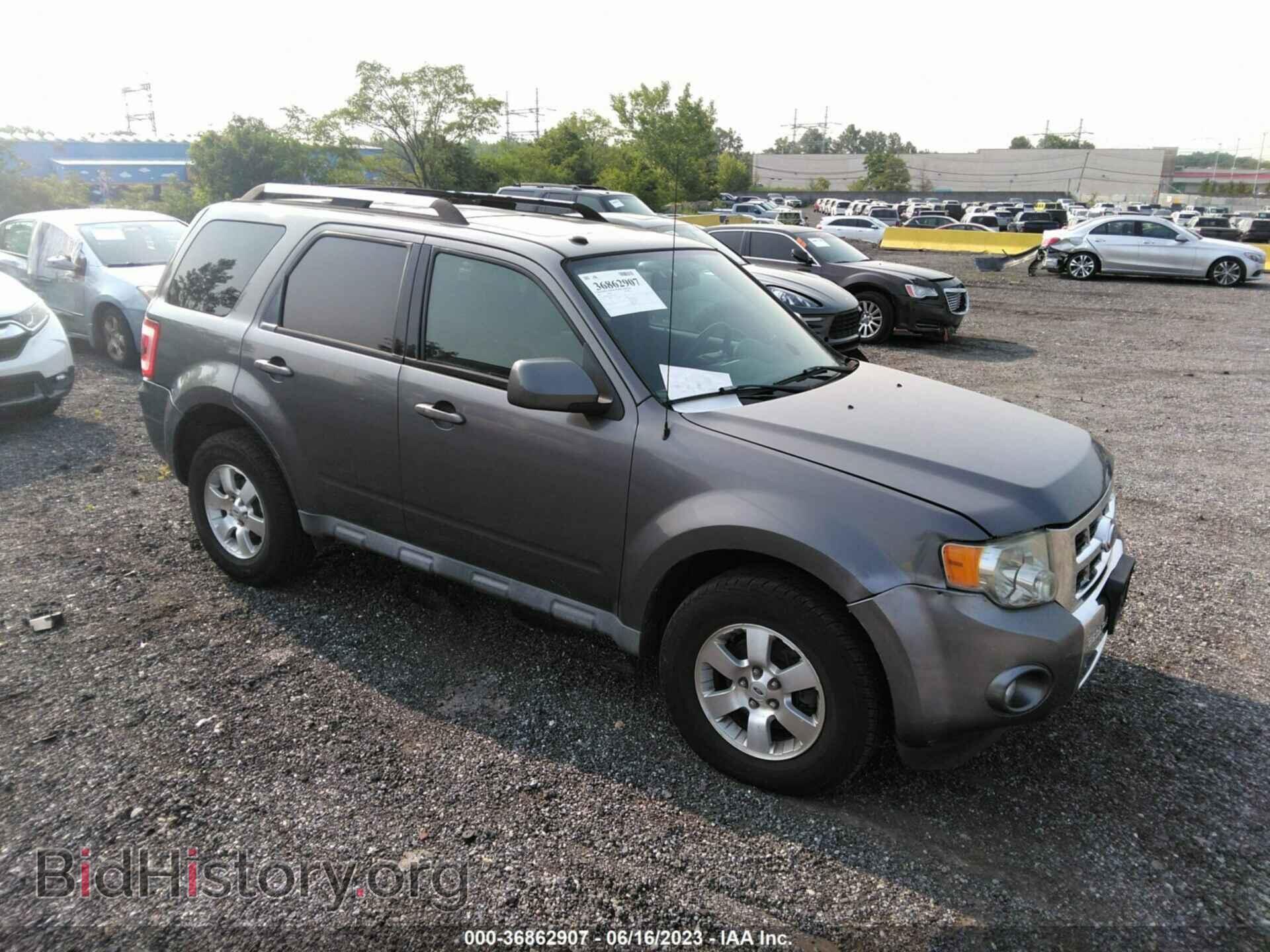 Фотография 1FMCU0E77AKA11876 - FORD ESCAPE 2010