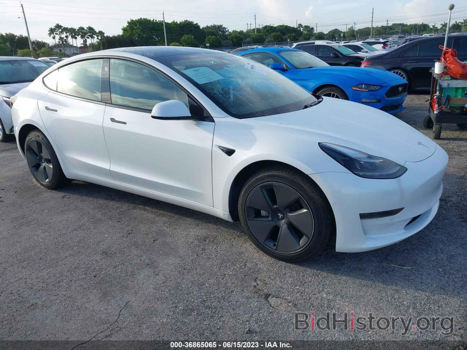 Photo 5YJ3E1EA1MF977452 - TESLA MODEL 3 2021