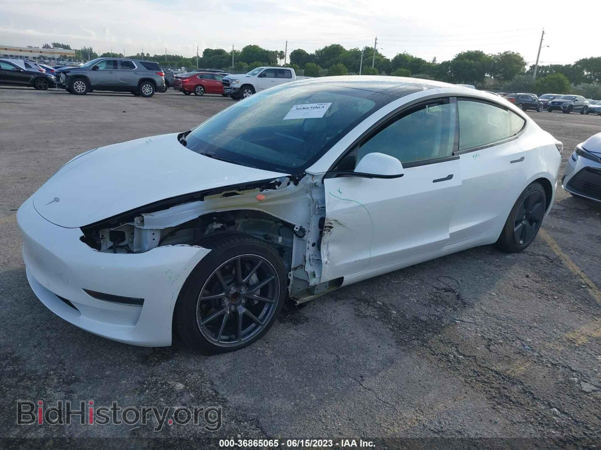 2021 TESLA MODEL 3 - VIN: 5YJ3E1EA1MF977452 - Фото 2