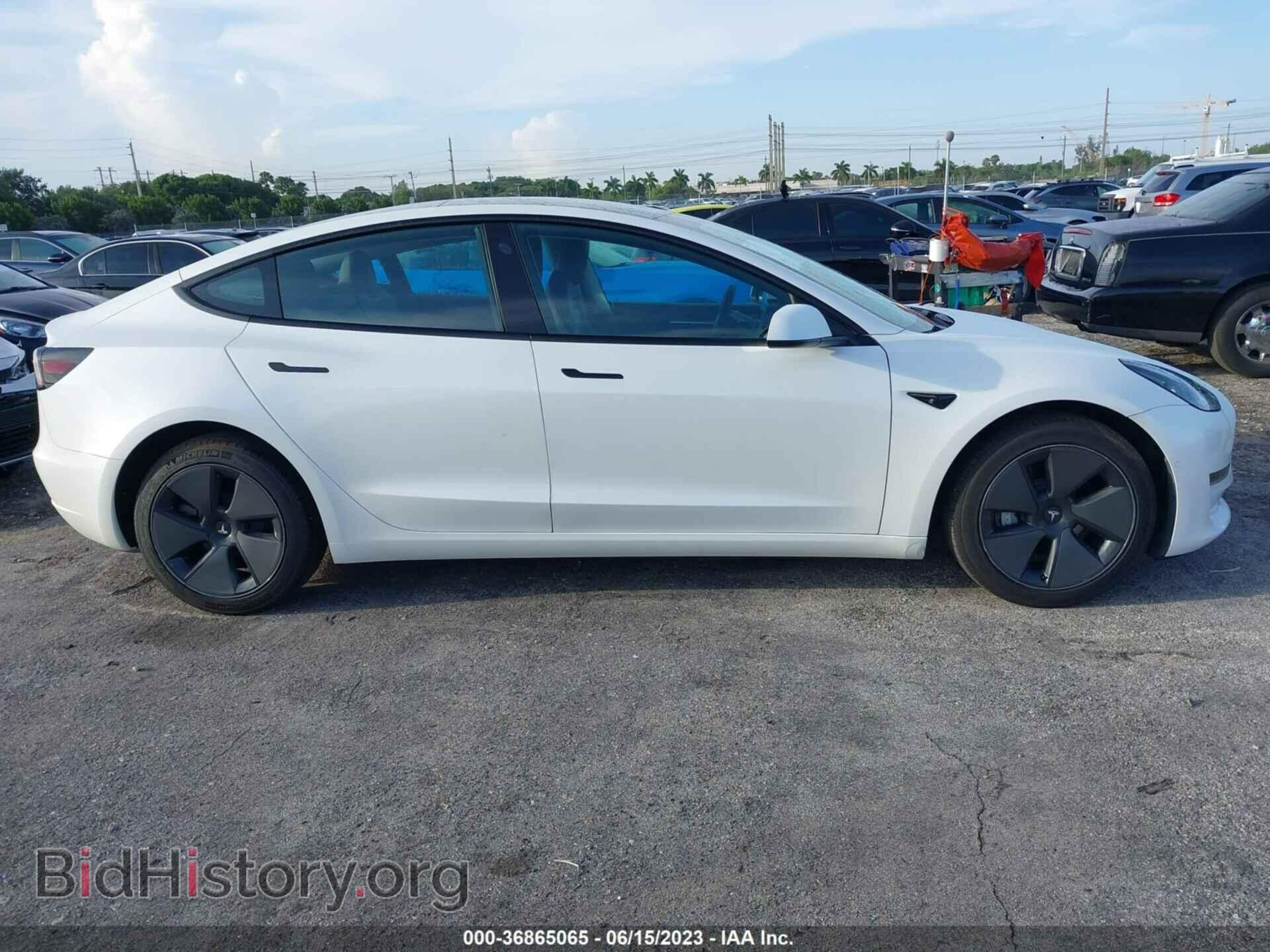 2021 TESLA MODEL 3 - VIN: 5YJ3E1EA1MF977452 - Фото 13