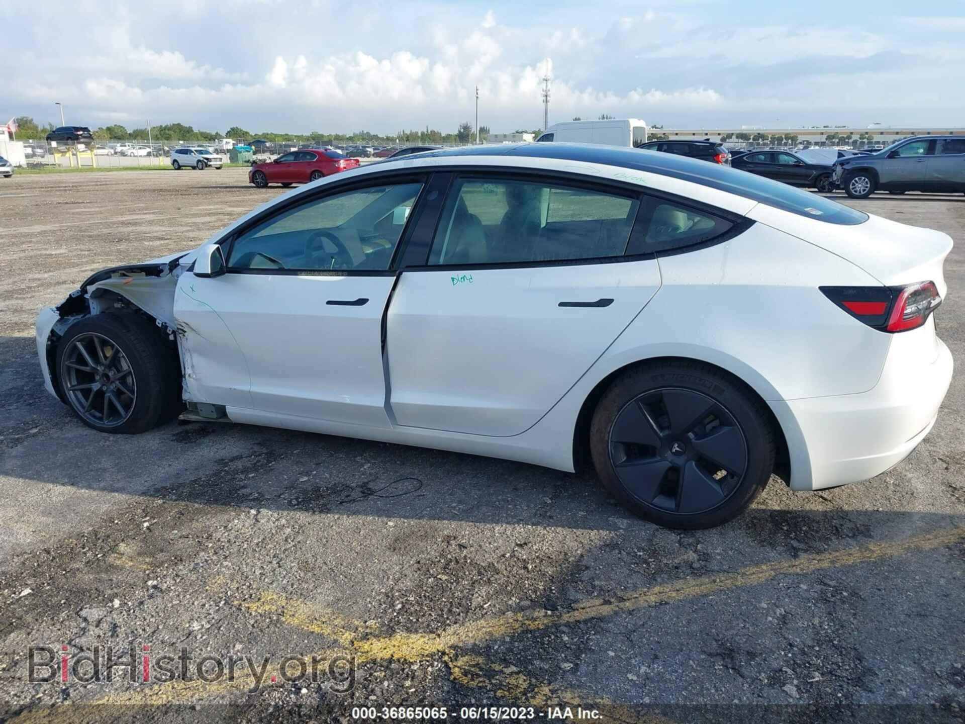 2021 TESLA MODEL 3 - VIN: 5YJ3E1EA1MF977452 - Фото 14