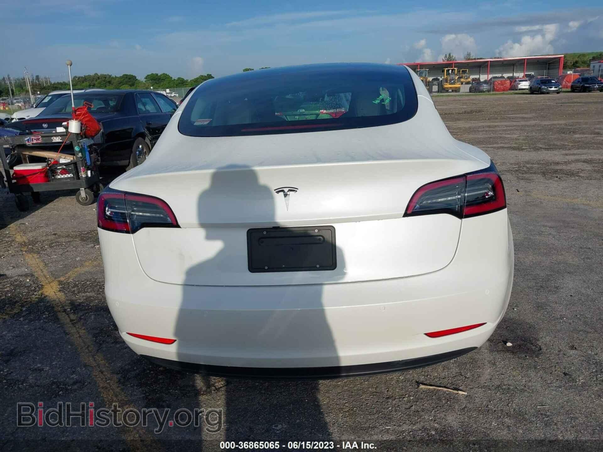 2021 TESLA MODEL 3 - VIN: 5YJ3E1EA1MF977452 - Фото 16