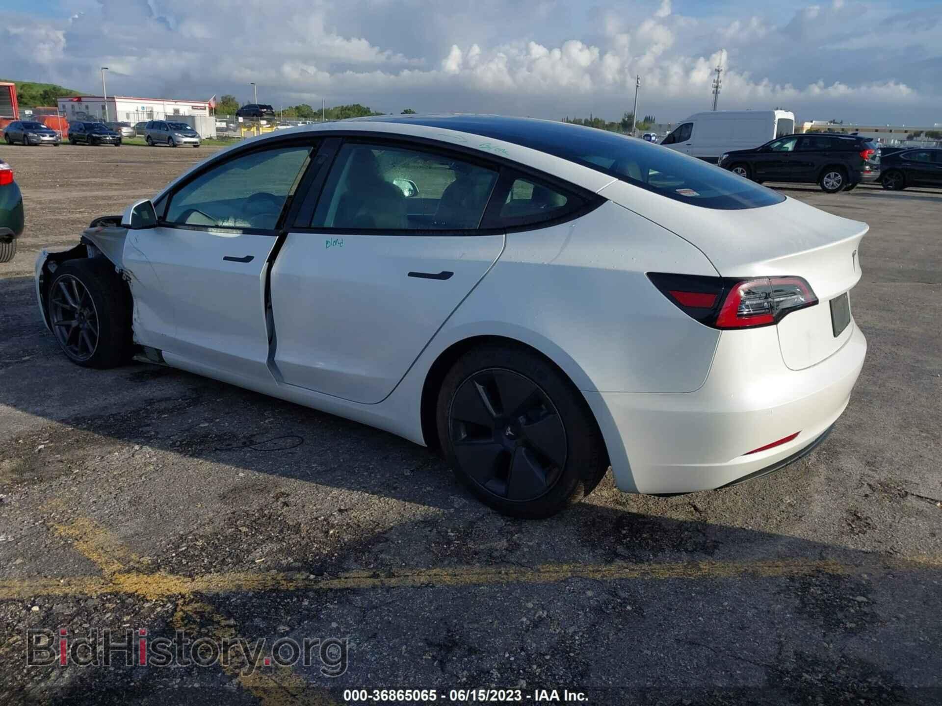 2021 TESLA MODEL 3 - VIN: 5YJ3E1EA1MF977452 - Фото 3