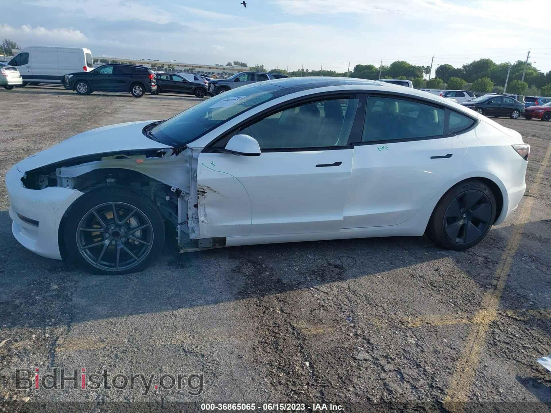 2021 TESLA MODEL 3 - VIN: 5YJ3E1EA1MF977452 - Фото 6
