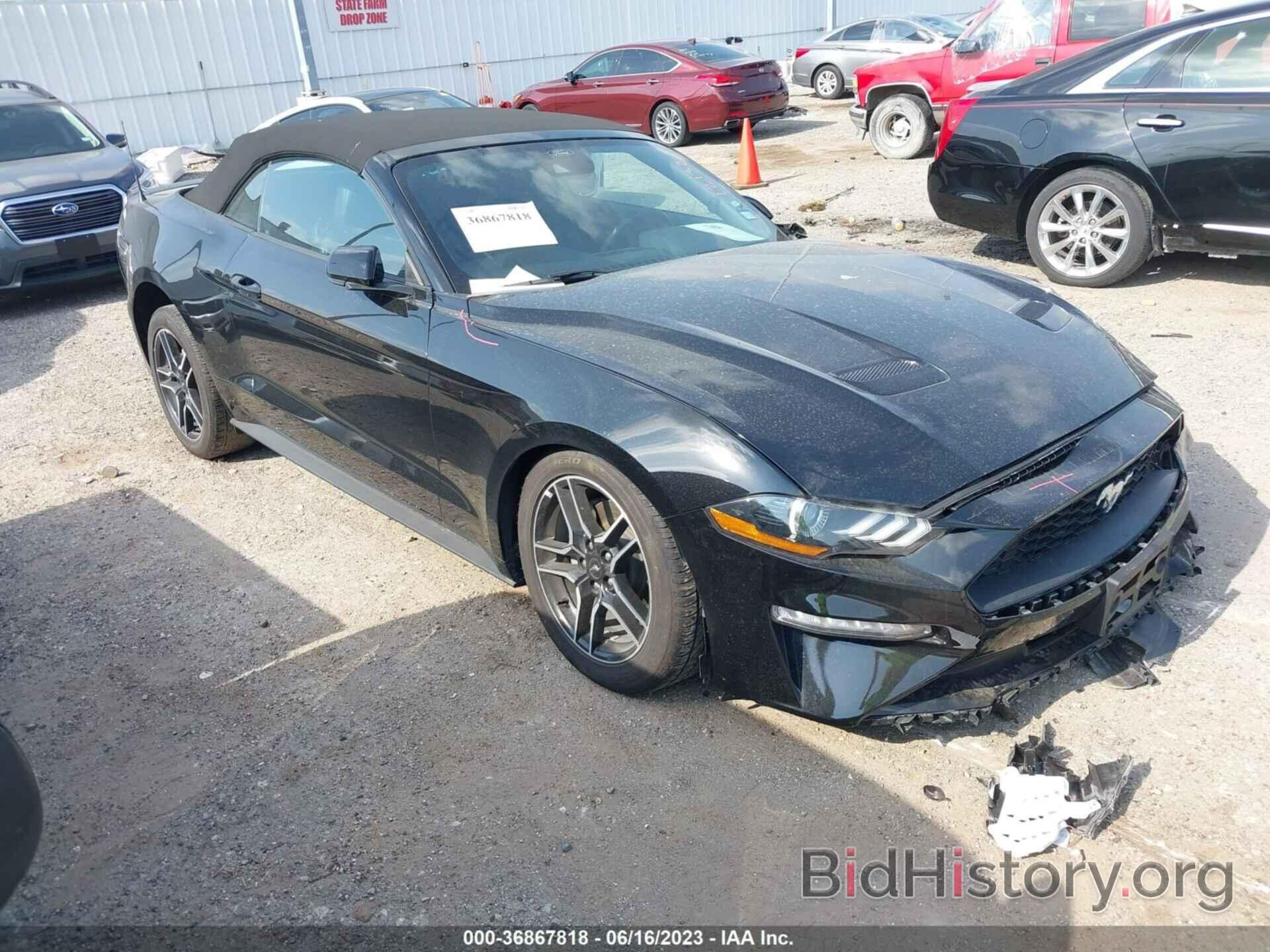 Photo 1FATP8UH3P5103911 - FORD MUSTANG 2023