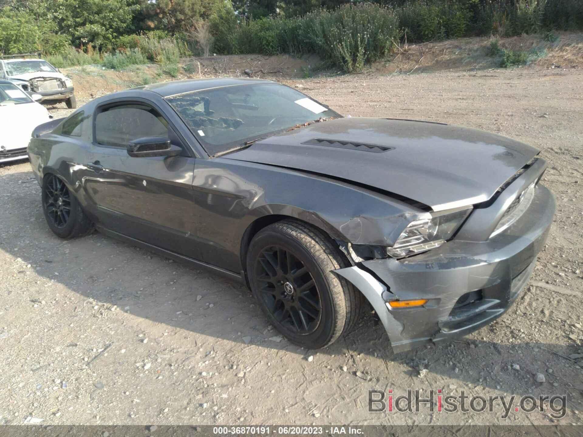 Photo 1ZVBP8AM8E5298678 - FORD MUSTANG 2014