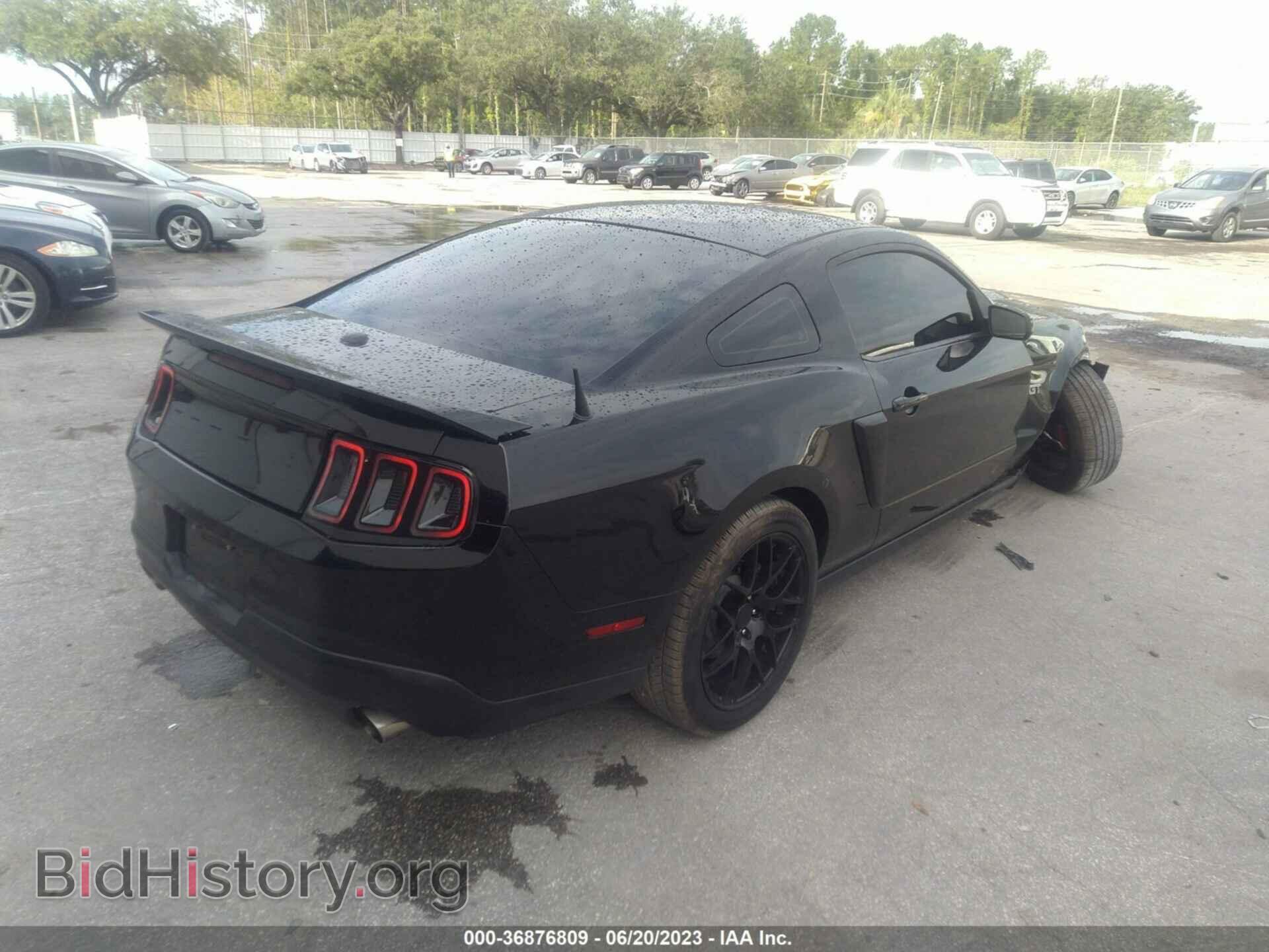 2010 FORD MUSTANG - VIN: 1ZVBP8CH8A5162416 - Фото 4