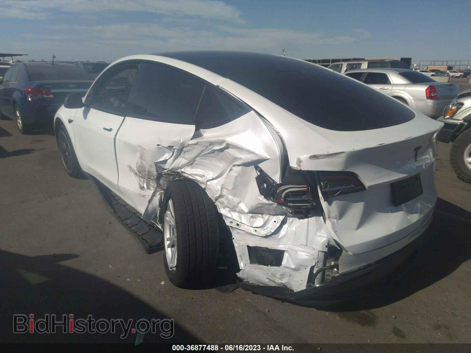 2023 TESLA MODEL Y - VIN: 7SAYGDEEXPA105571 - Фото 3