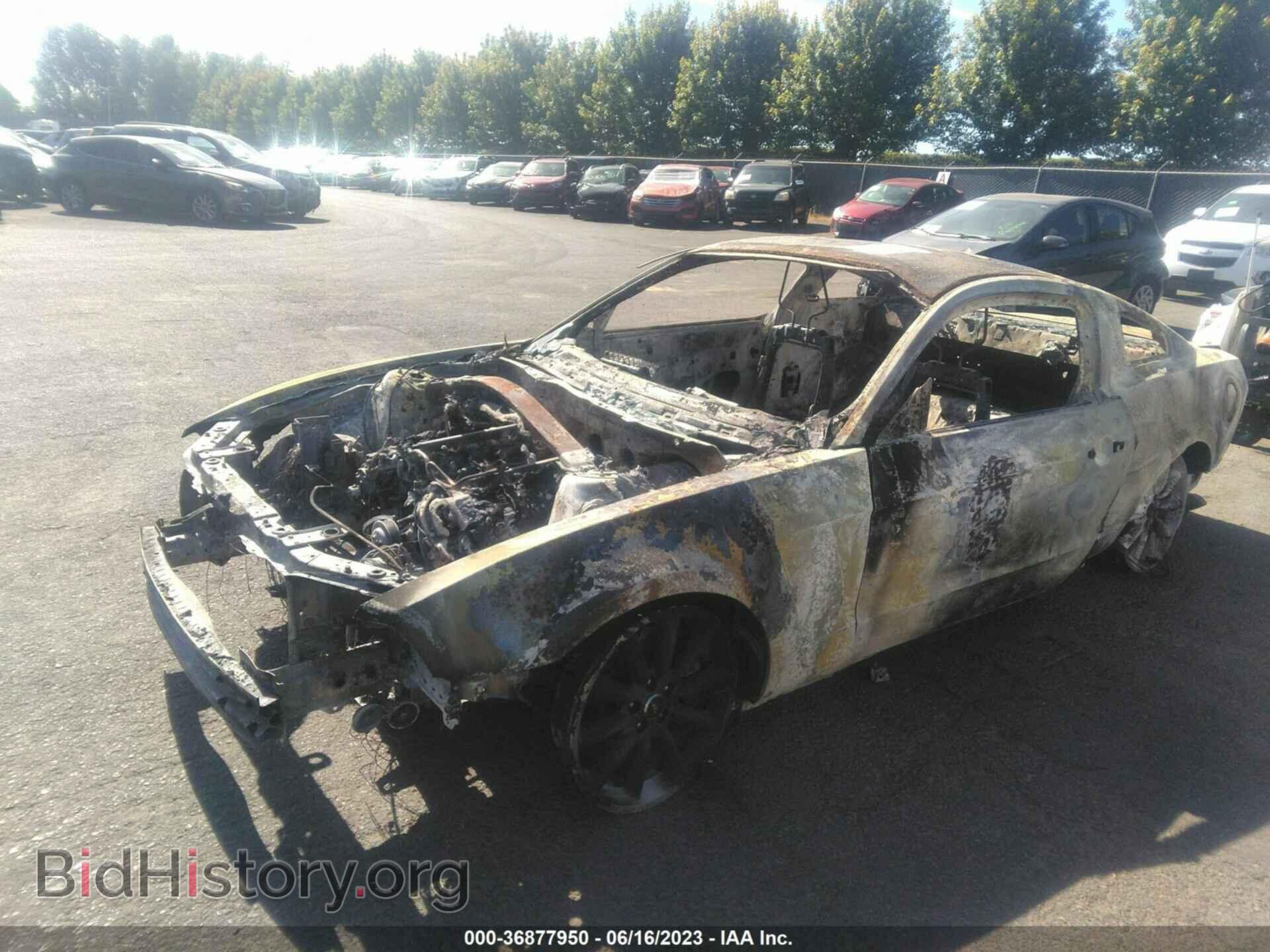 2013 FORD MUSTANG - VIN: 1ZVBP8CU8D5264767 - Фото 2