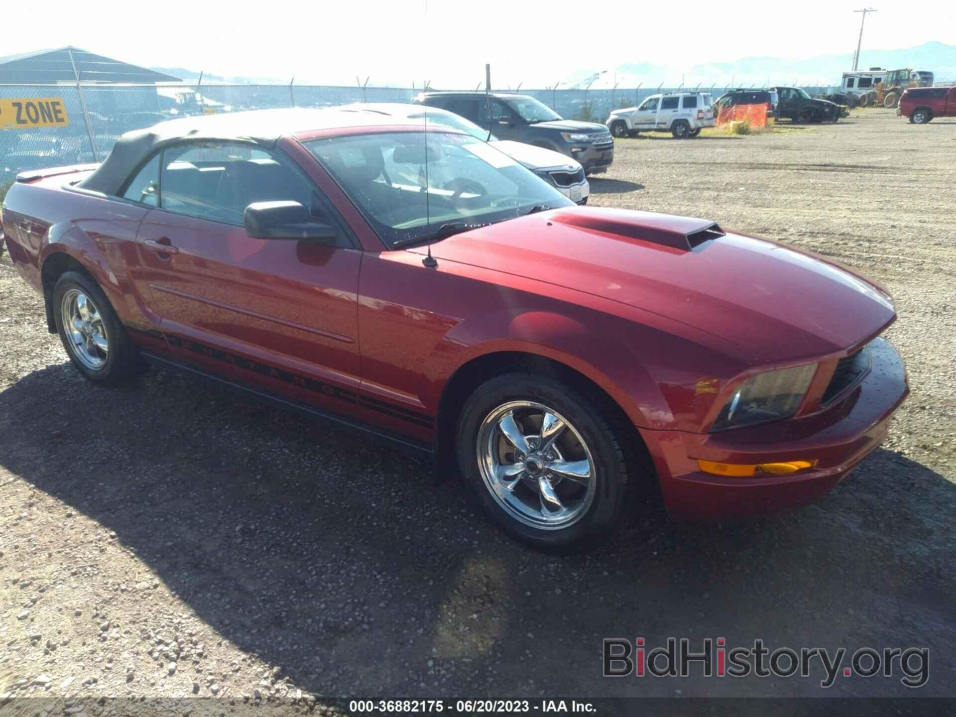 Photo 1ZVHT84N575339247 - FORD MUSTANG 2007