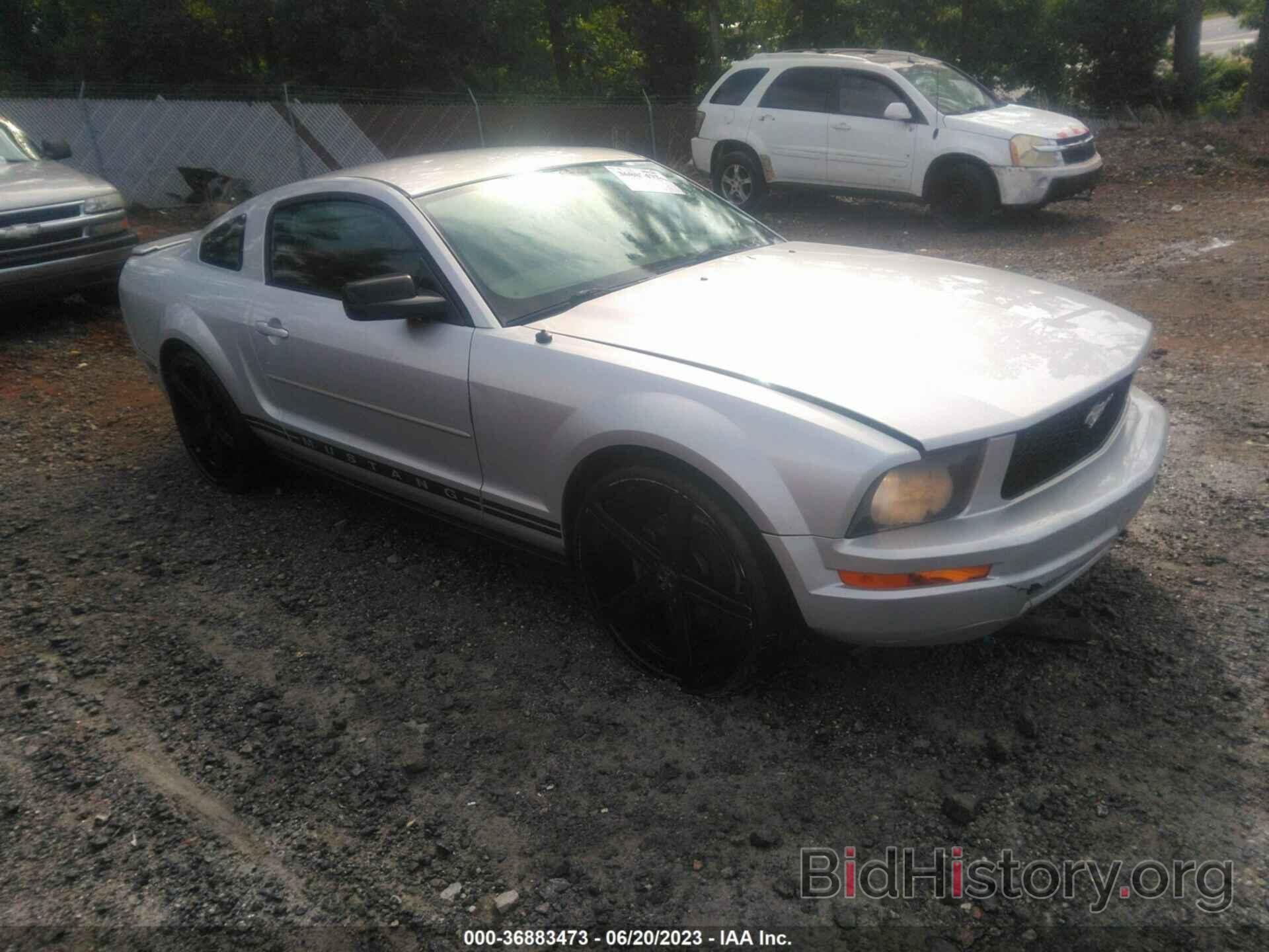 Photo 1ZVHT80NX85208192 - FORD MUSTANG 2008