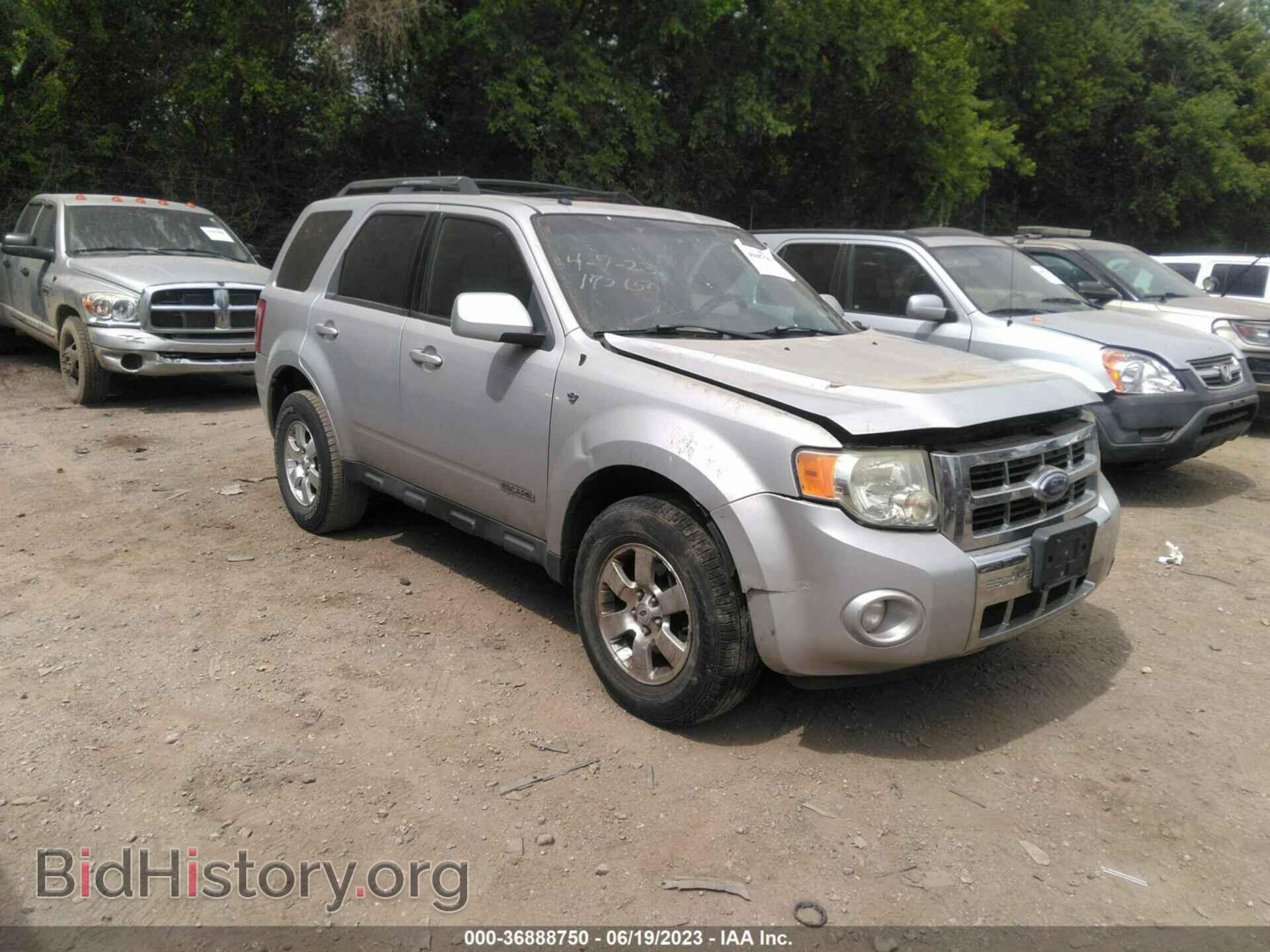 Фотография 1FMCU04178KC13561 - FORD ESCAPE 2008