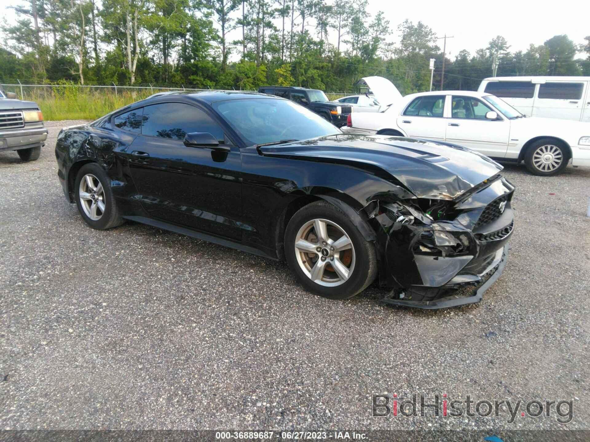 Photo 1FA6P8TH4K5130199 - FORD MUSTANG 2019