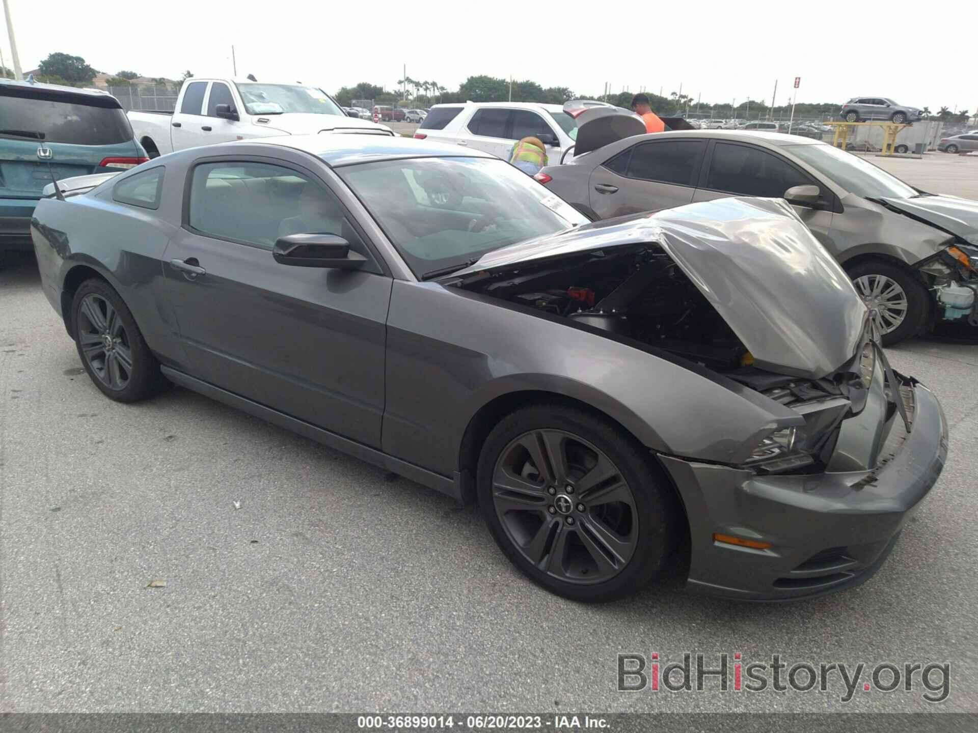 Photo 1ZVBP8AM6E5295651 - FORD MUSTANG 2014