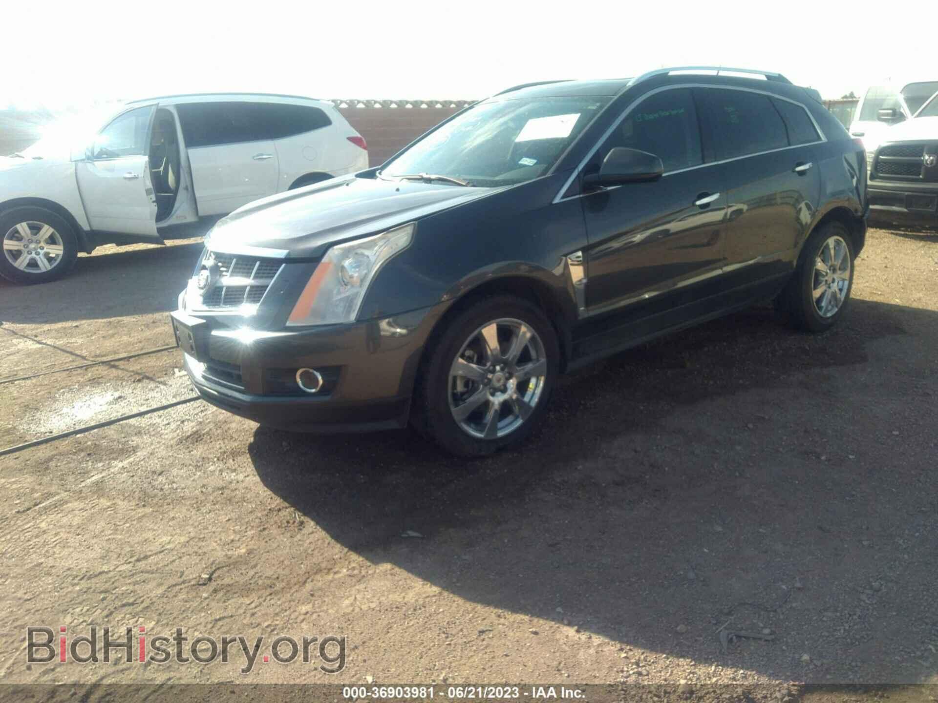 2010 CADILLAC SRX - VIN: 3GYFNBEY8AS641410 - Фото 2