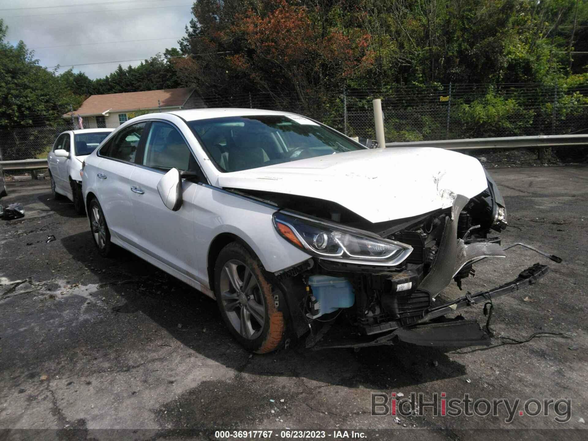 Photo 5NPE34AF4KH733178 - HYUNDAI SONATA 2019