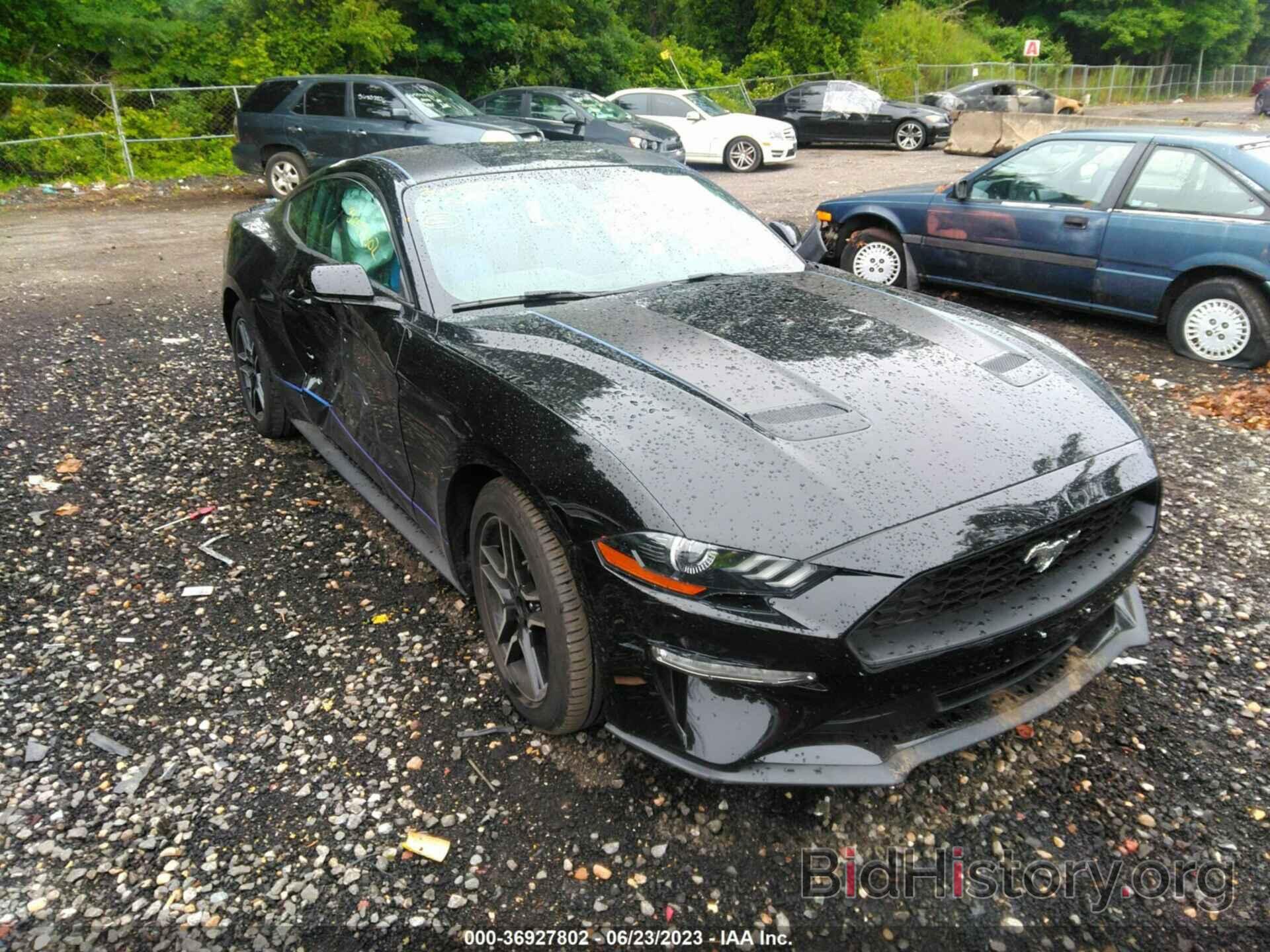 Photo 1FA6P8TH1K5160244 - FORD MUSTANG 2019
