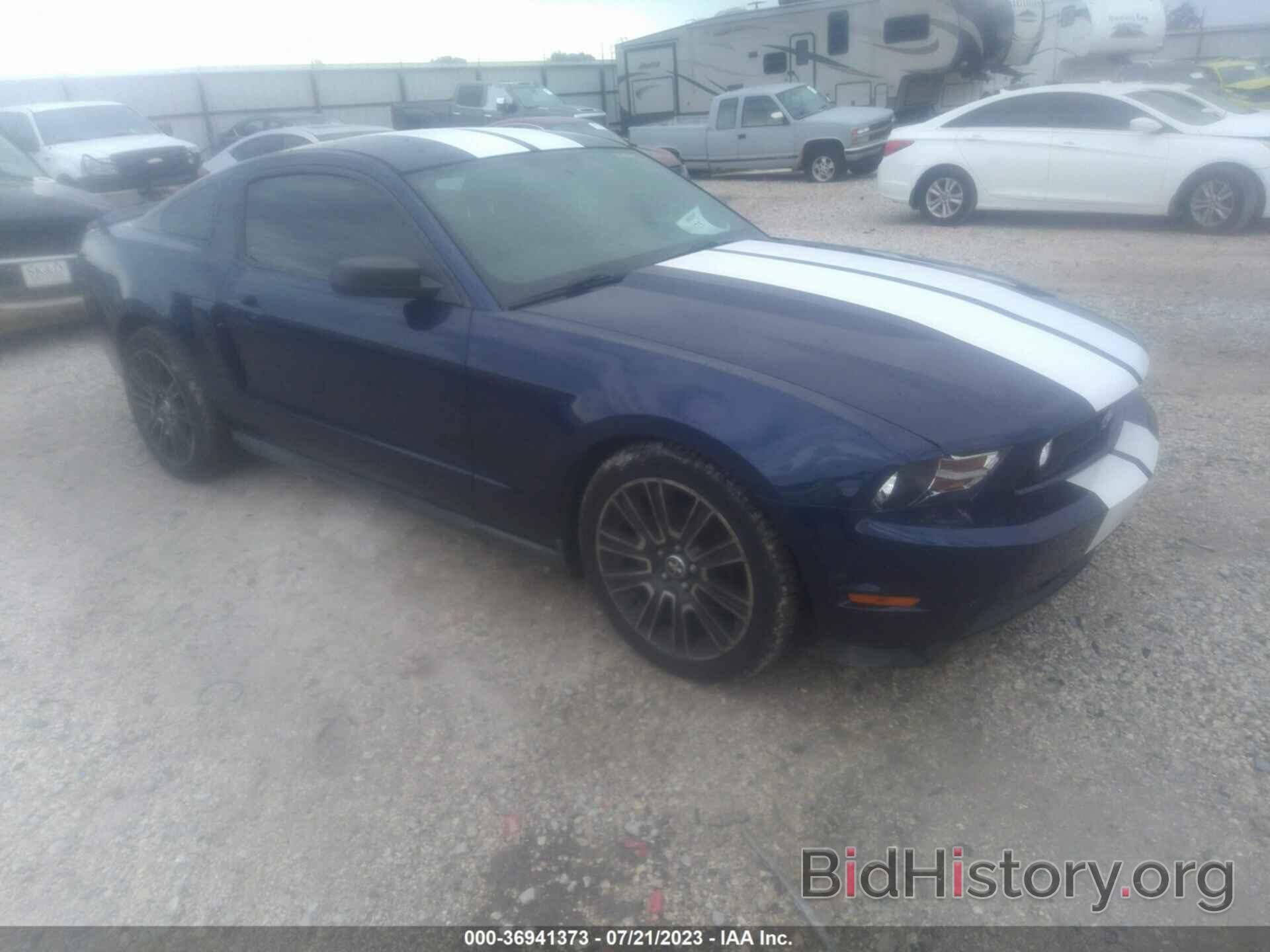 Photo 1ZVBP8AN9A5176060 - FORD MUSTANG 2010