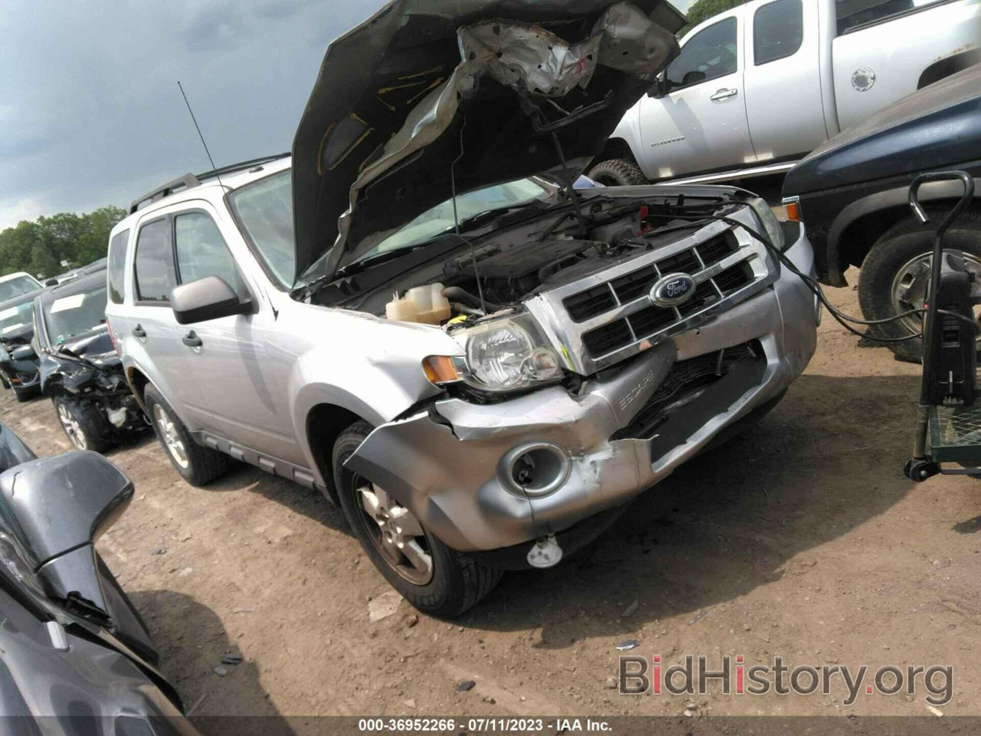 Photo 1FMCU0DG8BKB82025 - FORD ESCAPE 2011