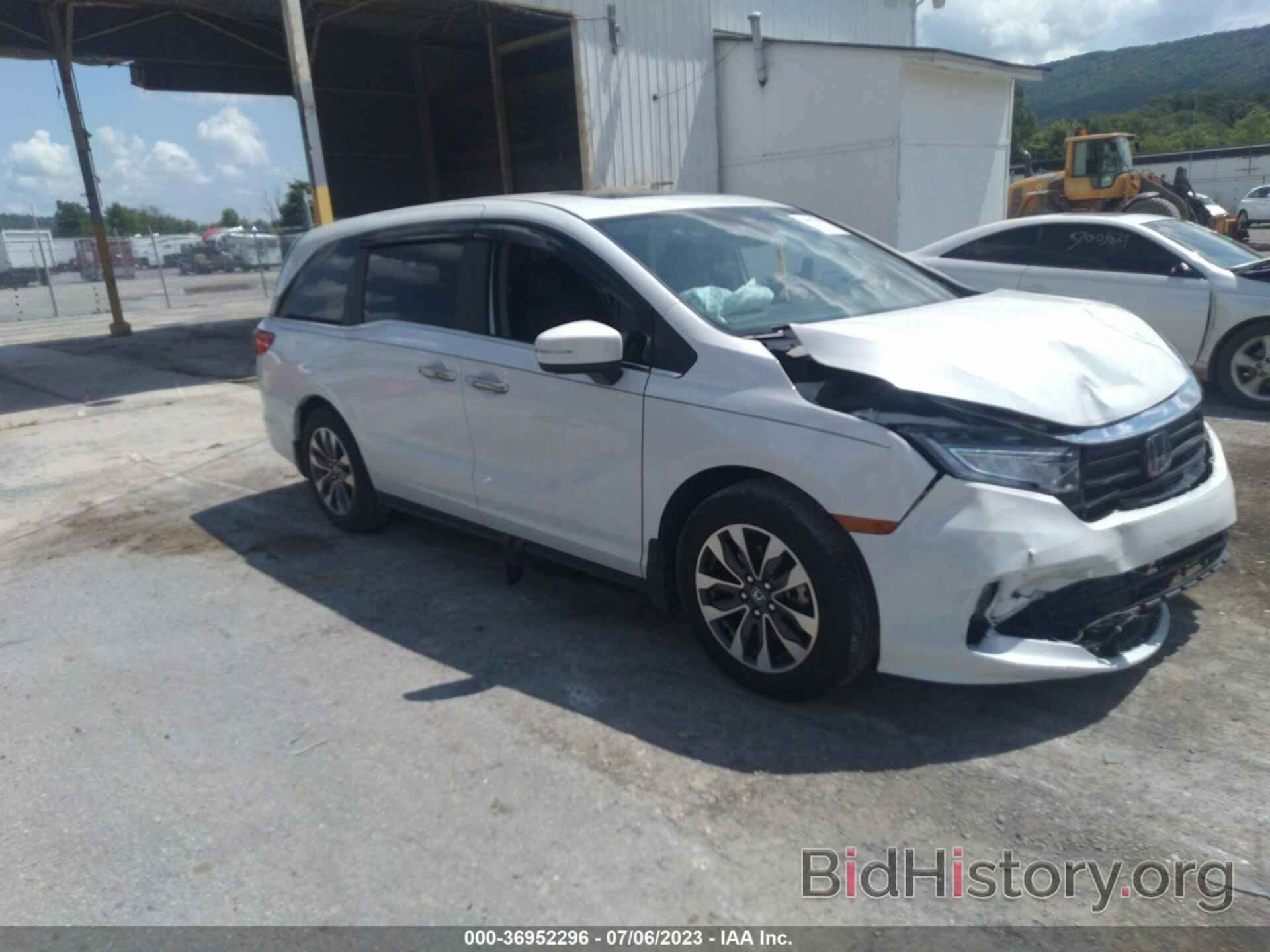 Photo 5FNRL6H72MB028179 - HONDA ODYSSEY 2021