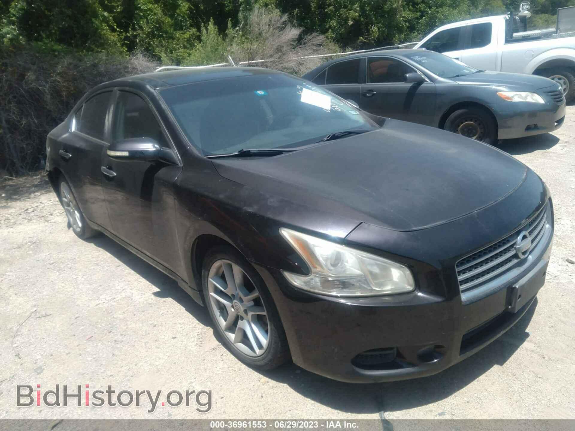 Фотография 1N4AA5AP0BC819253 - NISSAN MAXIMA 2011