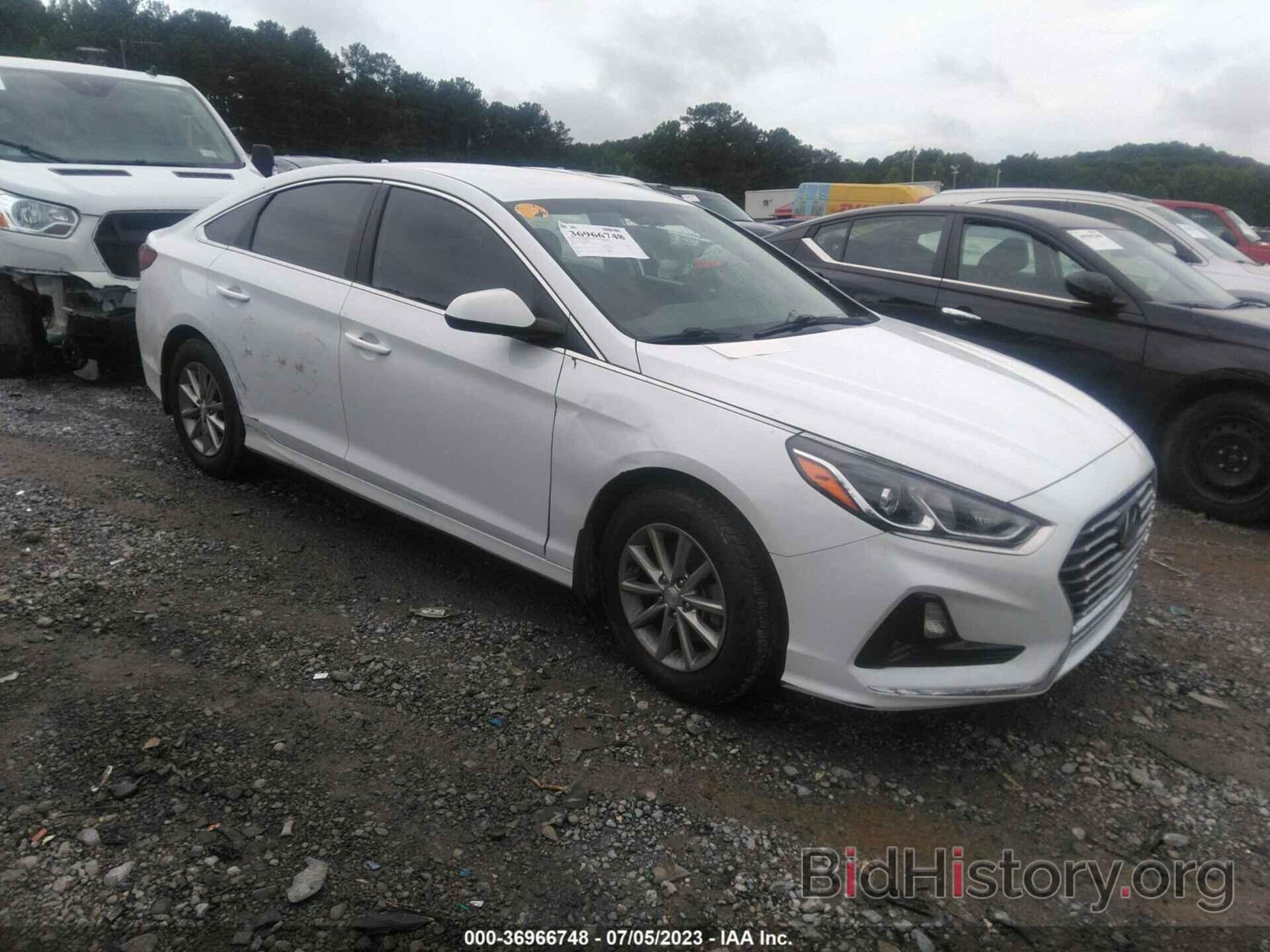 Photo 5NPE24AF0KH796586 - HYUNDAI SONATA 2019