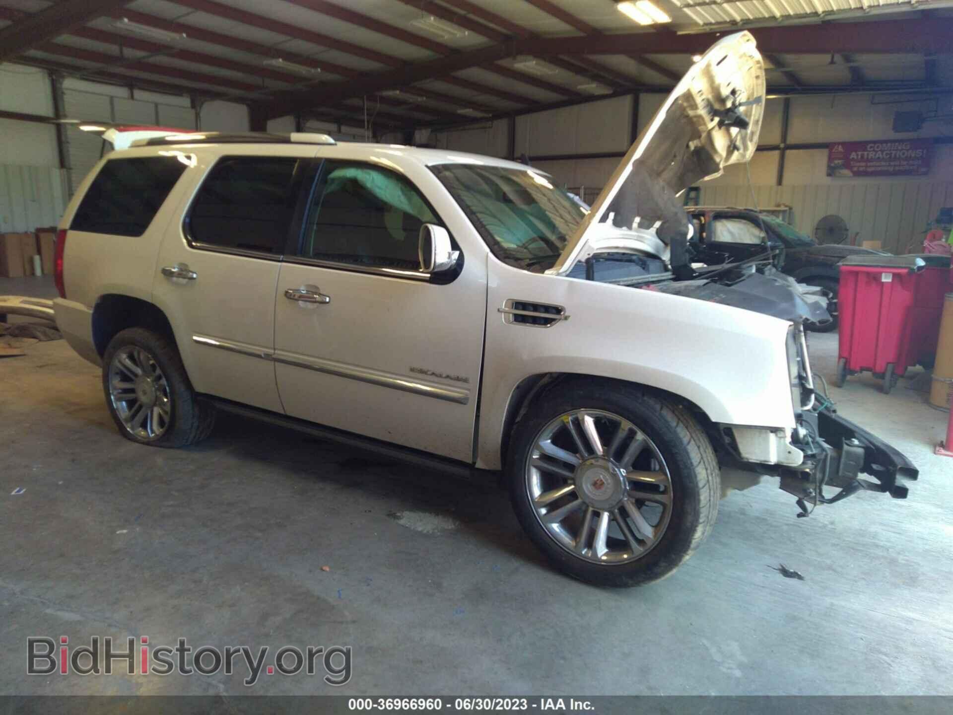 Photo 1GYS3DEF0DR360904 - CADILLAC ESCALADE 2013