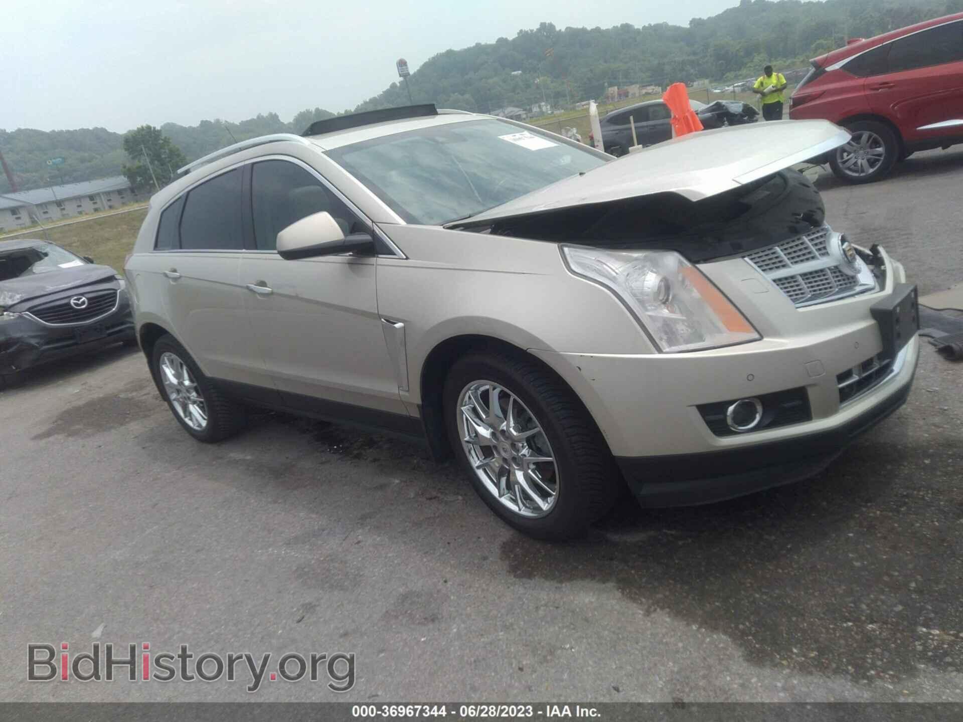Фотография 3GYFNDE36DS563214 - CADILLAC SRX 2013
