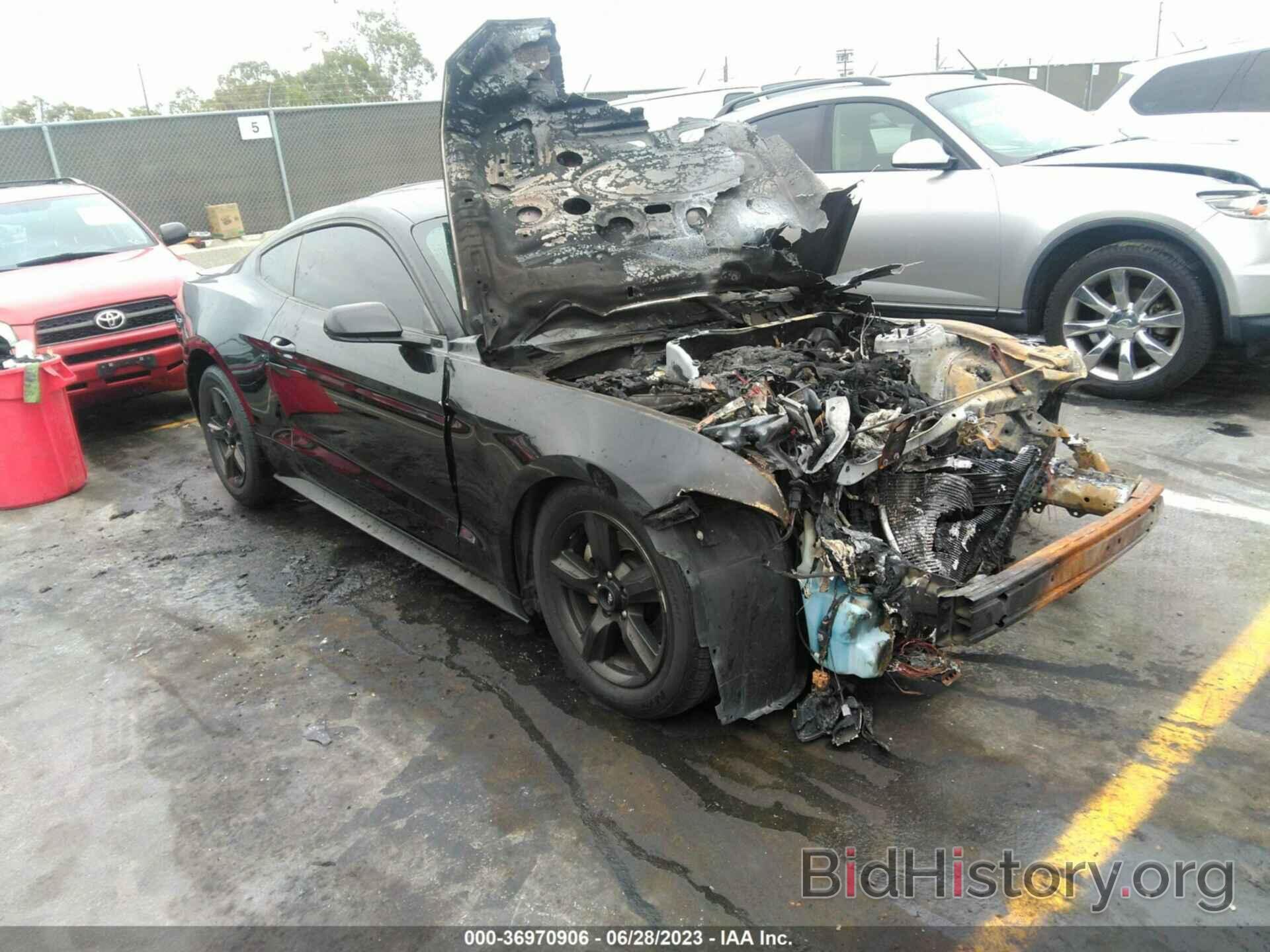 Photo 1FA6P8AM5H5210829 - FORD MUSTANG 2017