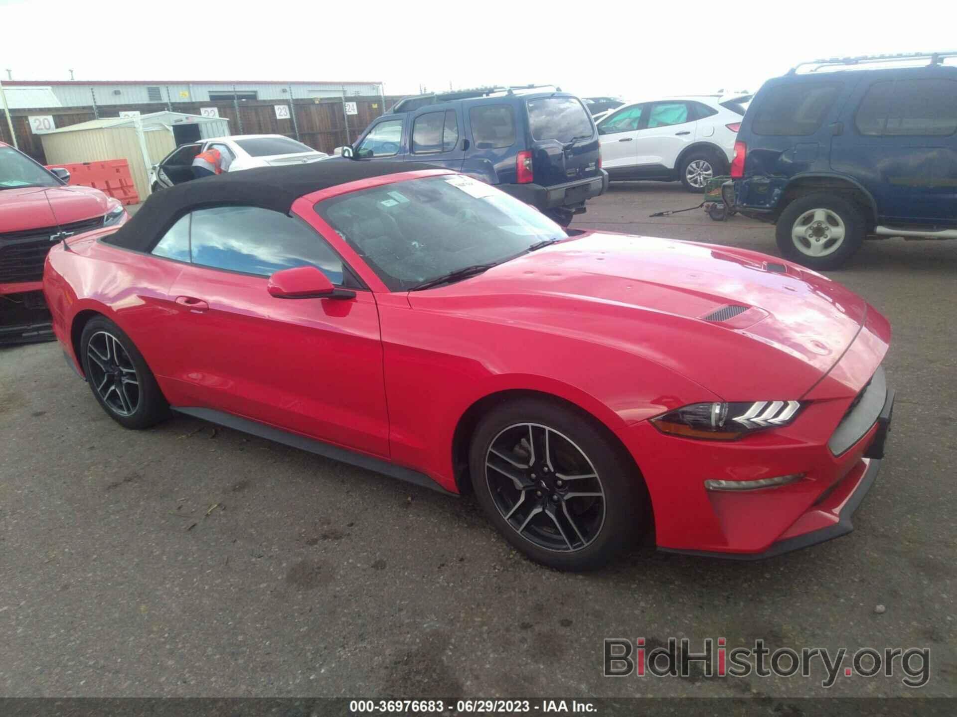 Photo 1FATP8UH9N5120256 - FORD MUSTANG 2022