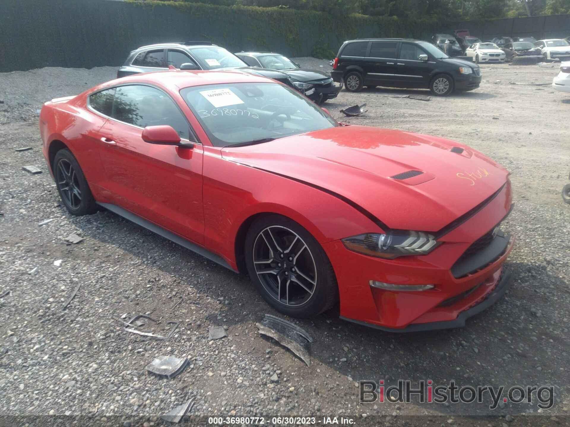 Photo 1FA6P8TH8M5102683 - FORD MUSTANG 2021