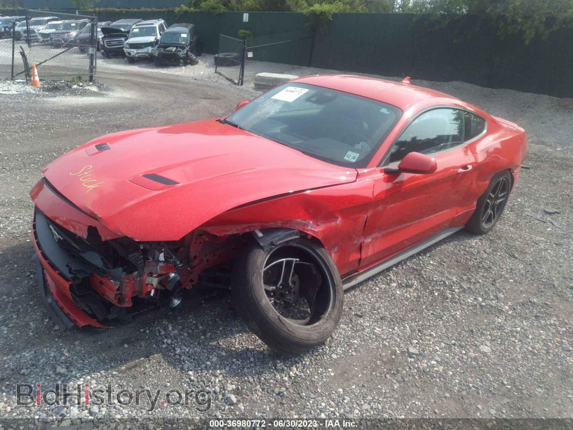 2021 FORD MUSTANG - VIN: 1FA6P8TH8M5102683 - Фото 2