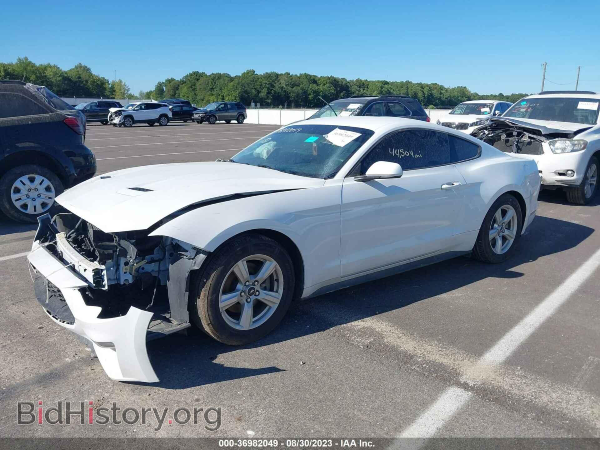 2019 FORD MUSTANG - VIN: 1FA6P8TH3K5201280 - Фото 2