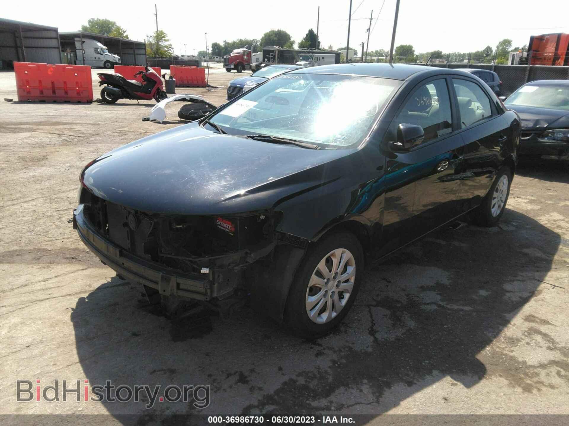 2013 KIA FORTE - VIN: KNAFU4A26D5647689 - Фото 2