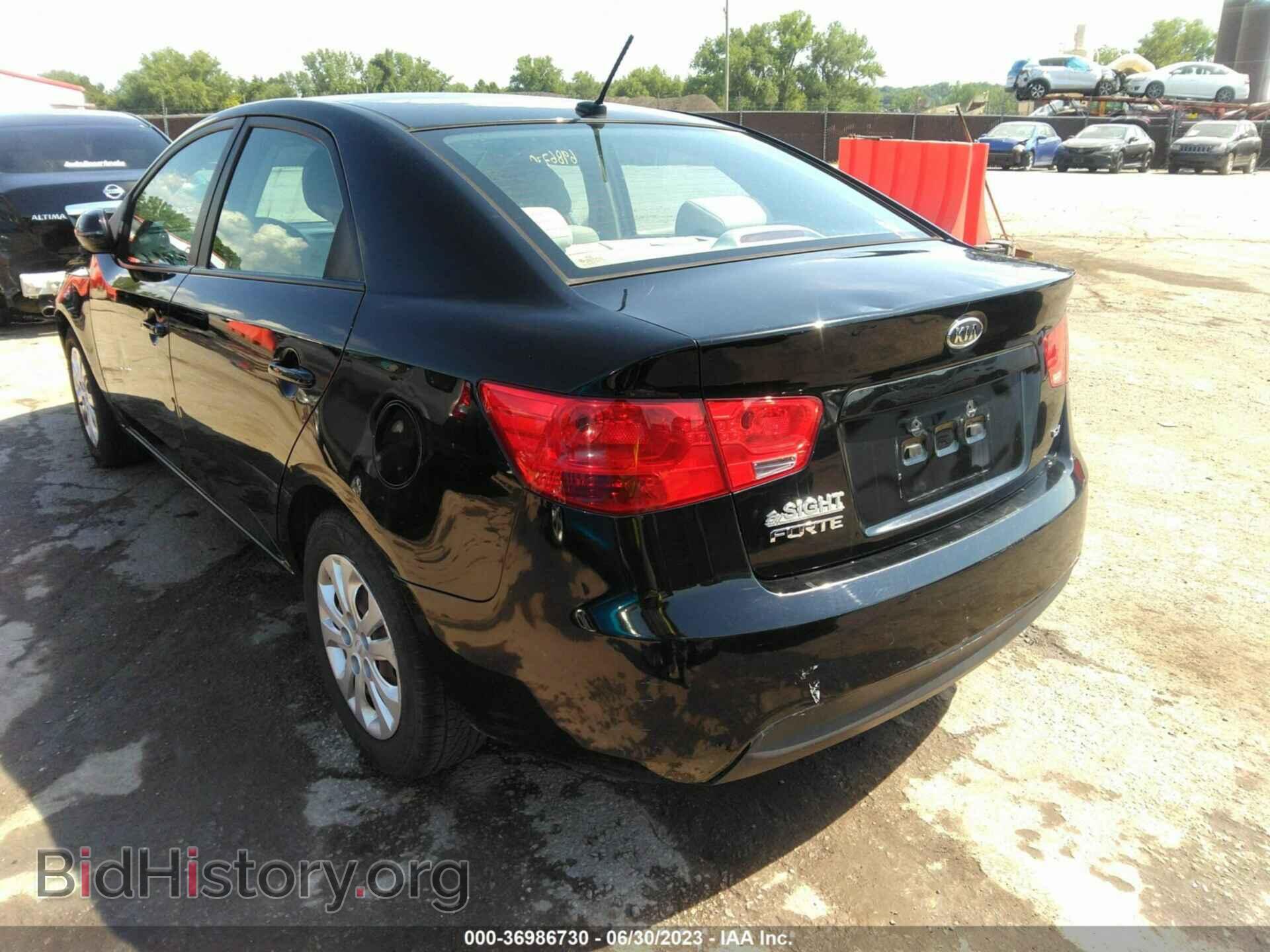 2013 KIA FORTE - VIN: KNAFU4A26D5647689 - Фото 3