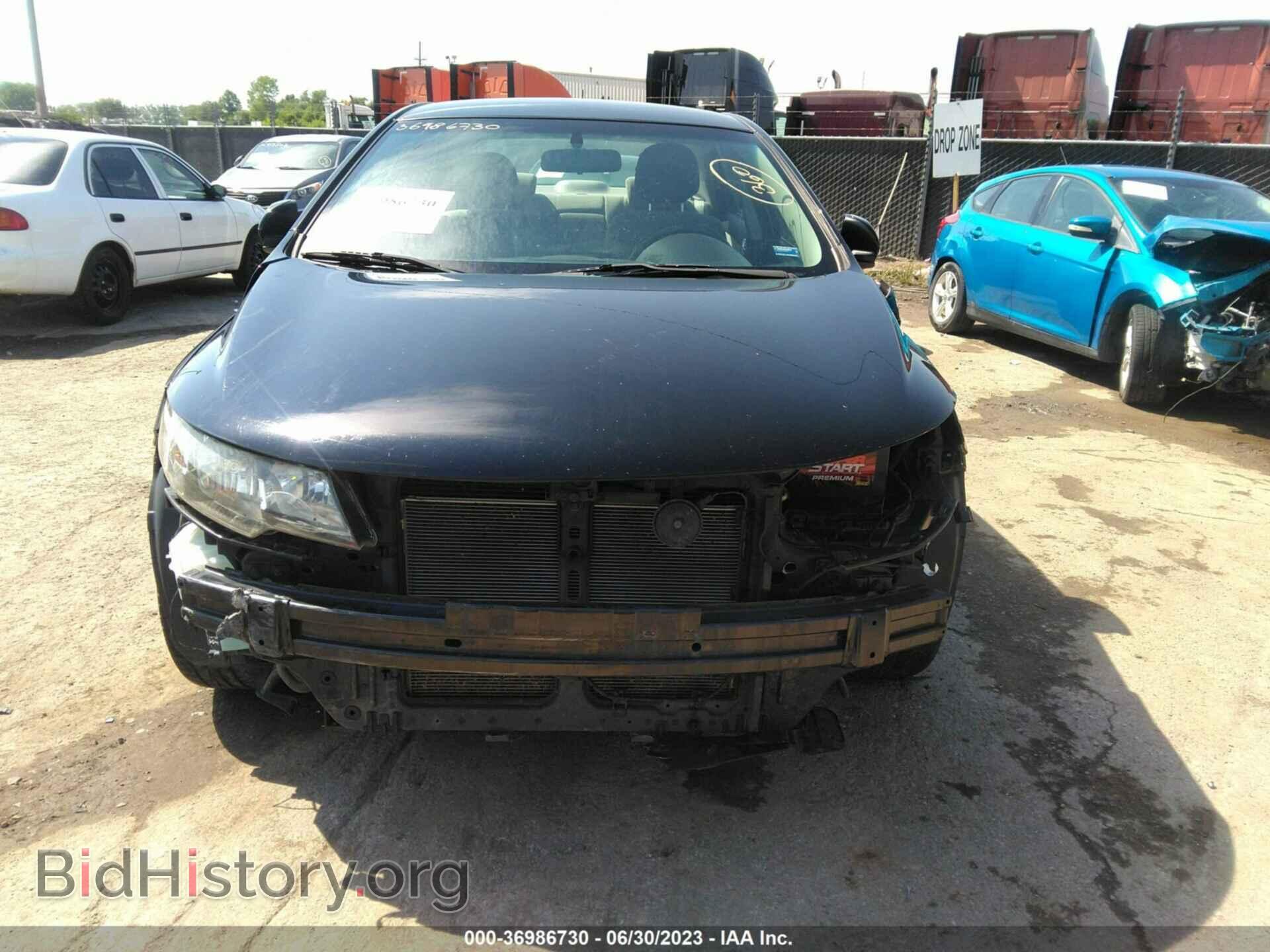 2013 KIA FORTE - VIN: KNAFU4A26D5647689 - Фото 6