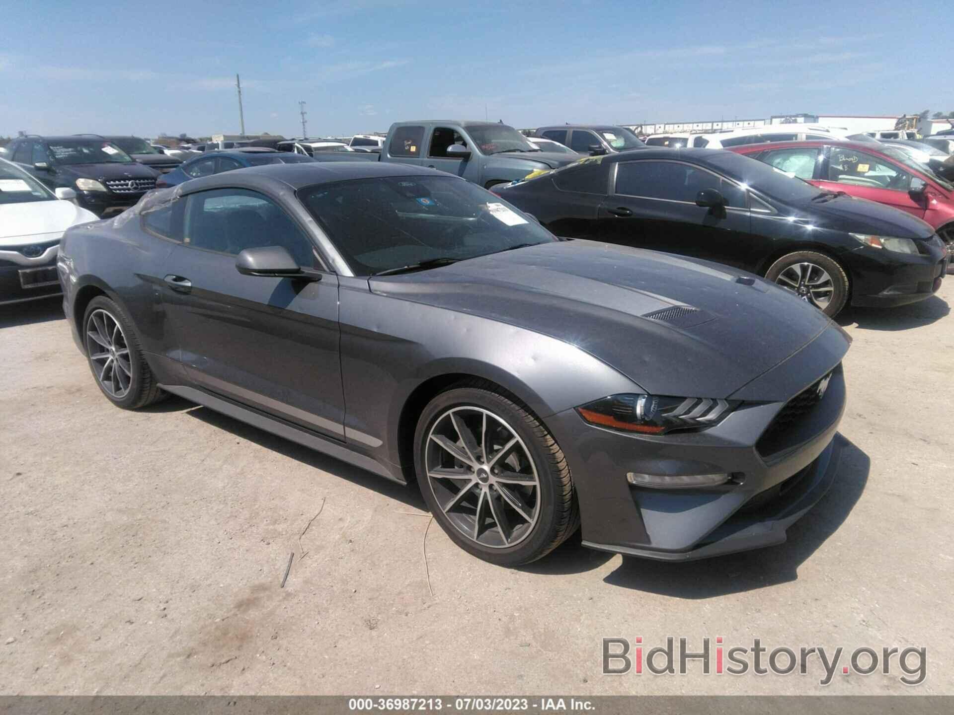 Photo 1FA6P8THXP5113446 - FORD MUSTANG 2023