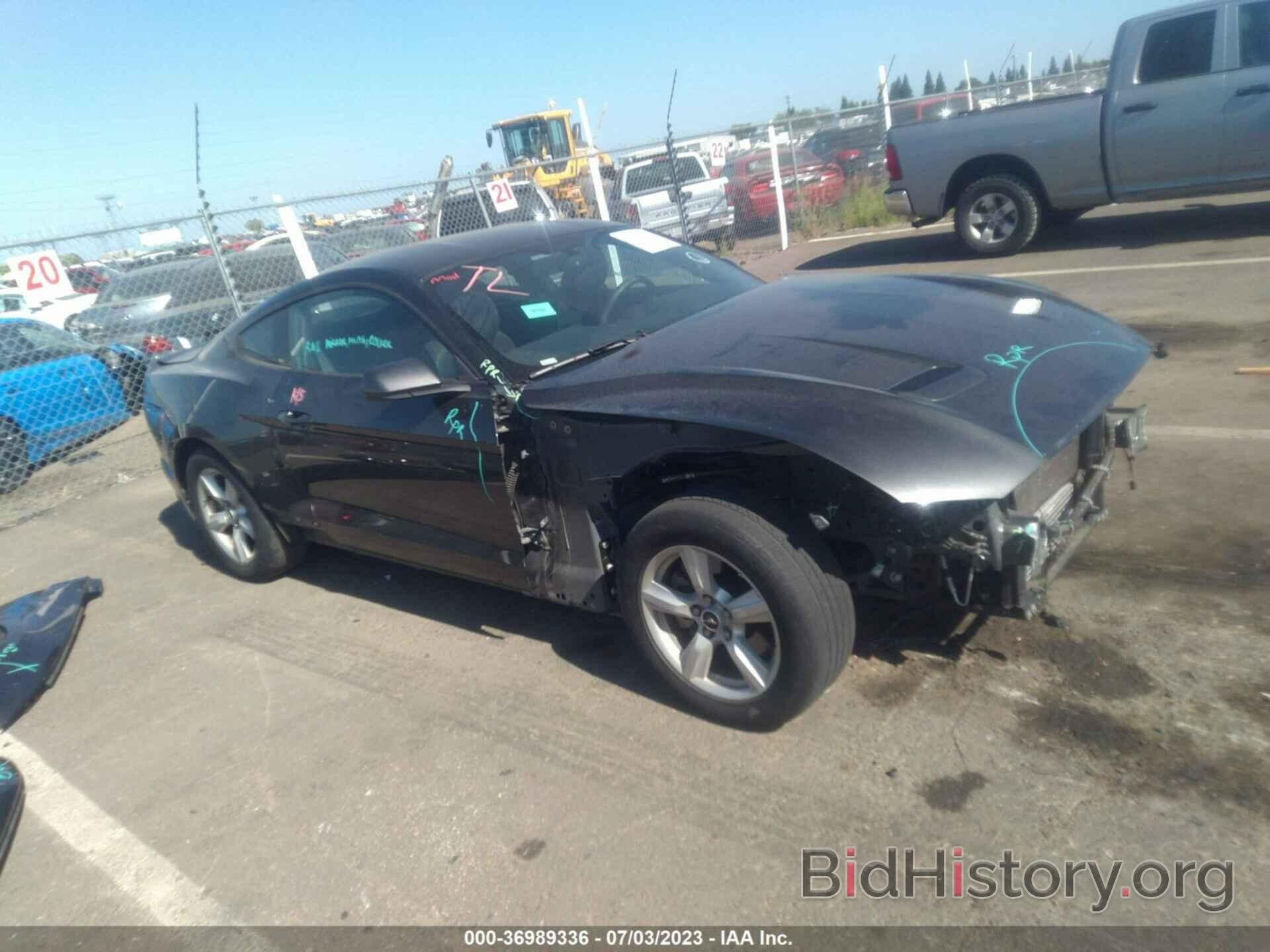 Photo 1FA6P8TH7K5102431 - FORD MUSTANG 2019