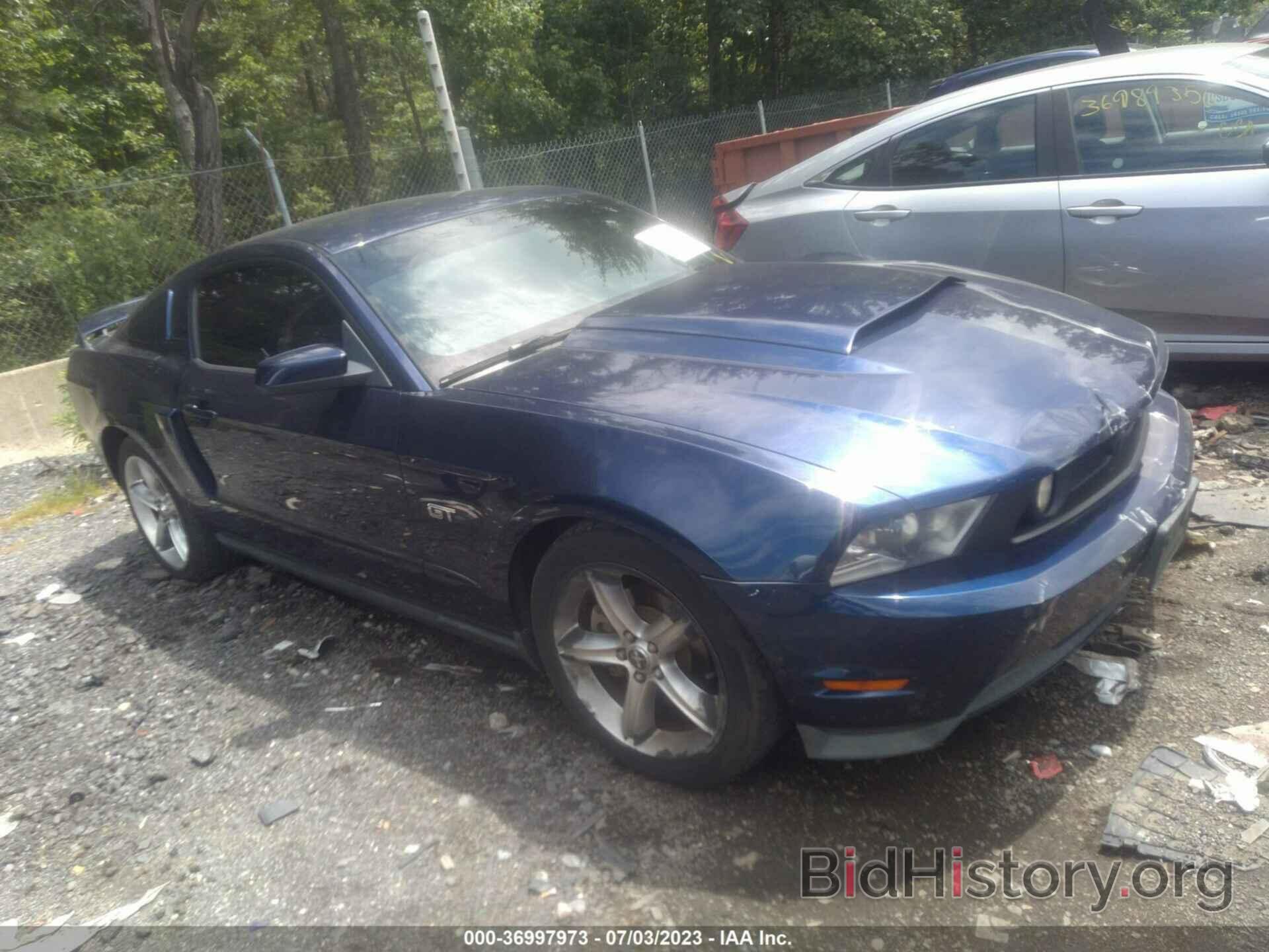 Photo 1ZVBP8CH7A5127401 - FORD MUSTANG 2010