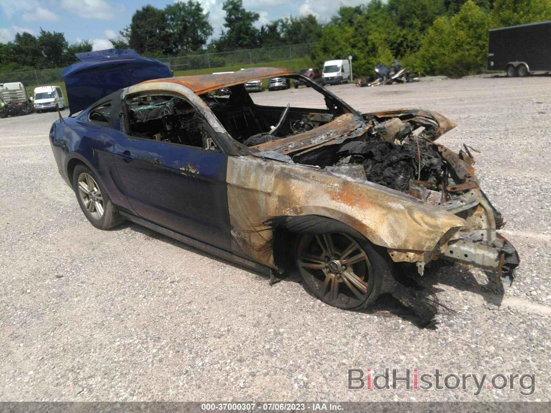 Photo 1ZVBP8AM7E5265784 - FORD MUSTANG 2014