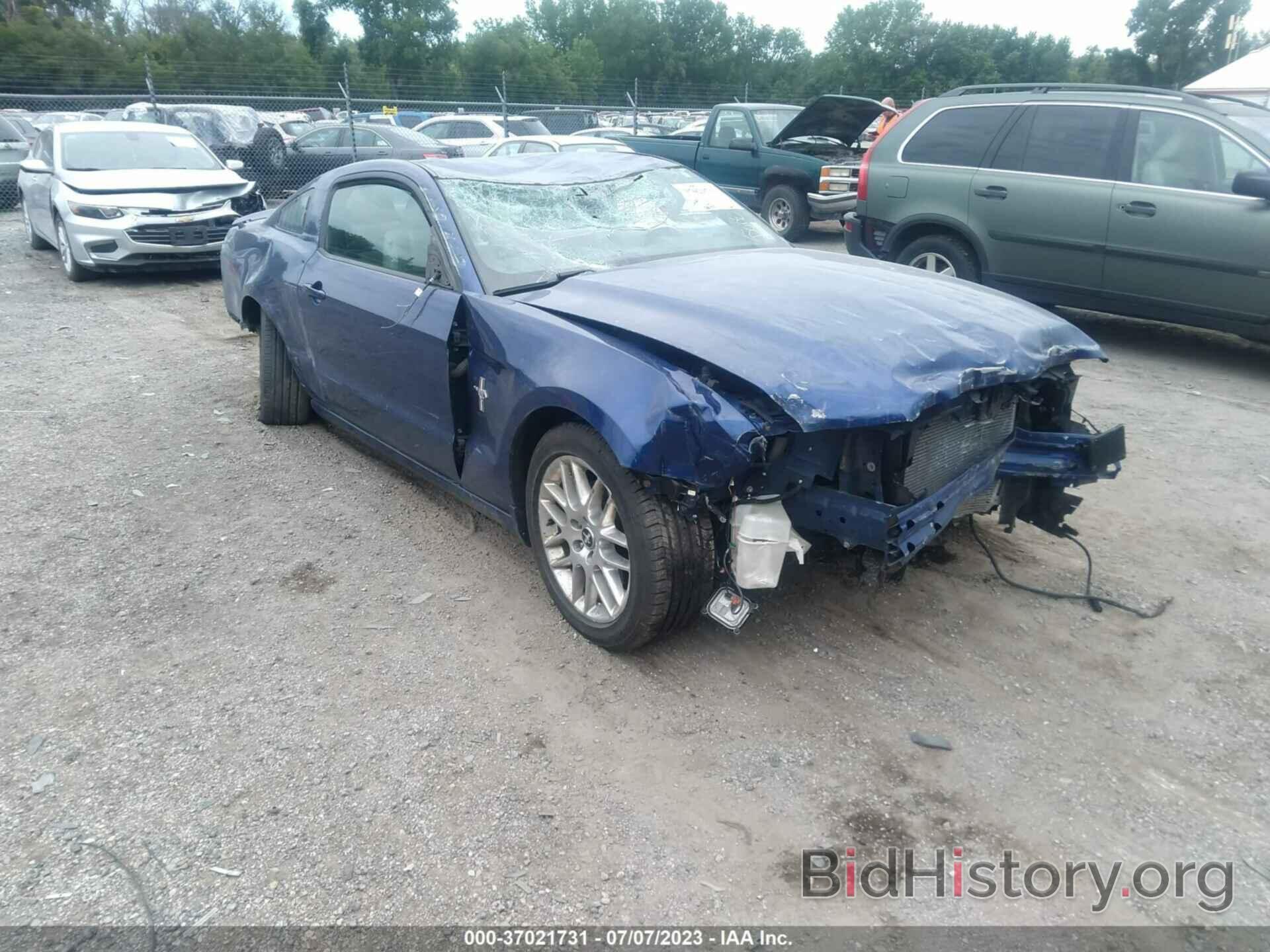 Photo 1ZVBP8AM2D5216409 - FORD MUSTANG 2013