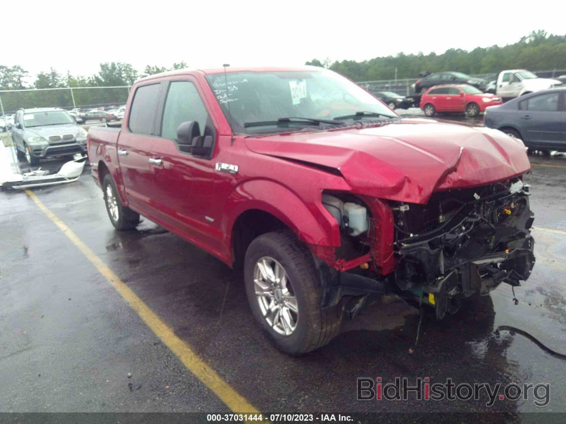 Photo 1FTEW1CP0FFB29297 - FORD F-150 2015