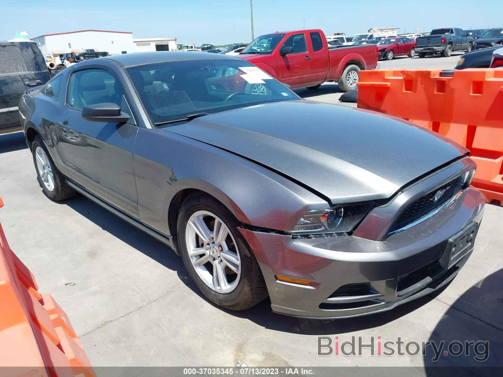 Photo 1ZVBP8AM6D5262177 - FORD MUSTANG 2013