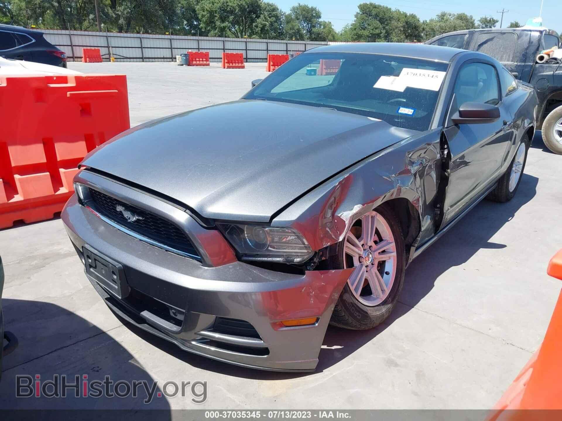 2013 FORD MUSTANG - VIN: 1ZVBP8AM6D5262177 - Фото 2