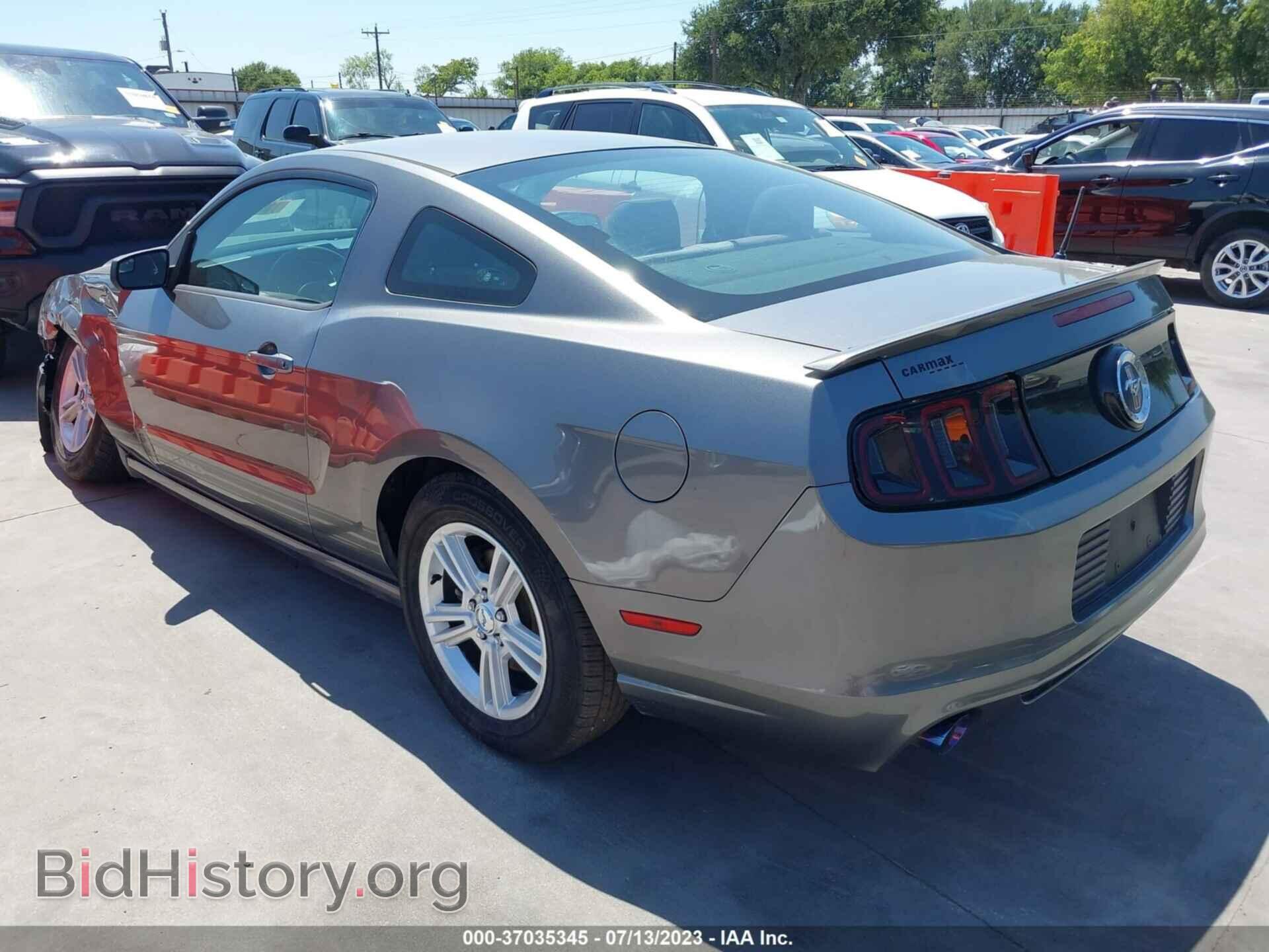 2013 FORD MUSTANG - VIN: 1ZVBP8AM6D5262177 - Фото 3
