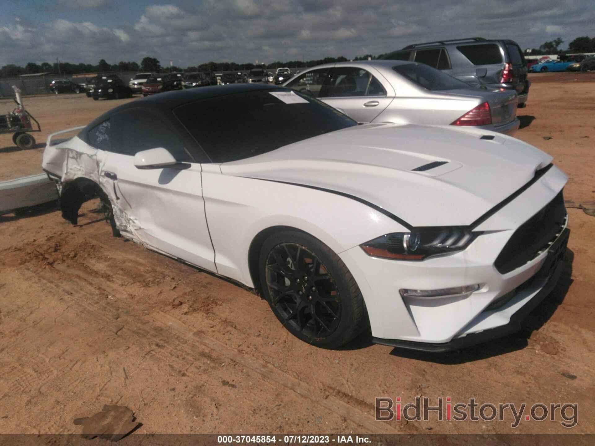 Photo 1FA6P8TH8K5147491 - FORD MUSTANG 2019