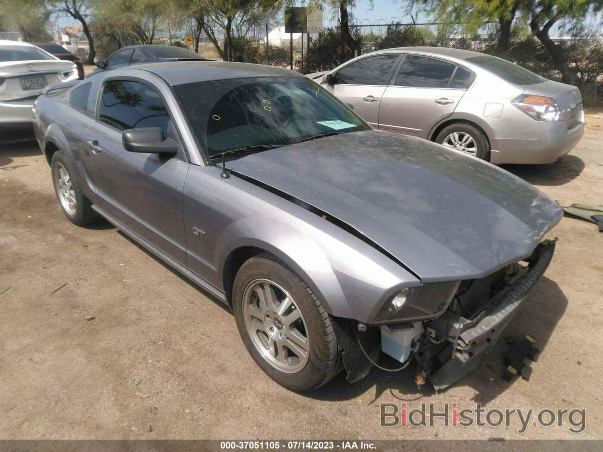 Photo 1ZVFT82H465119553 - FORD MUSTANG 2006
