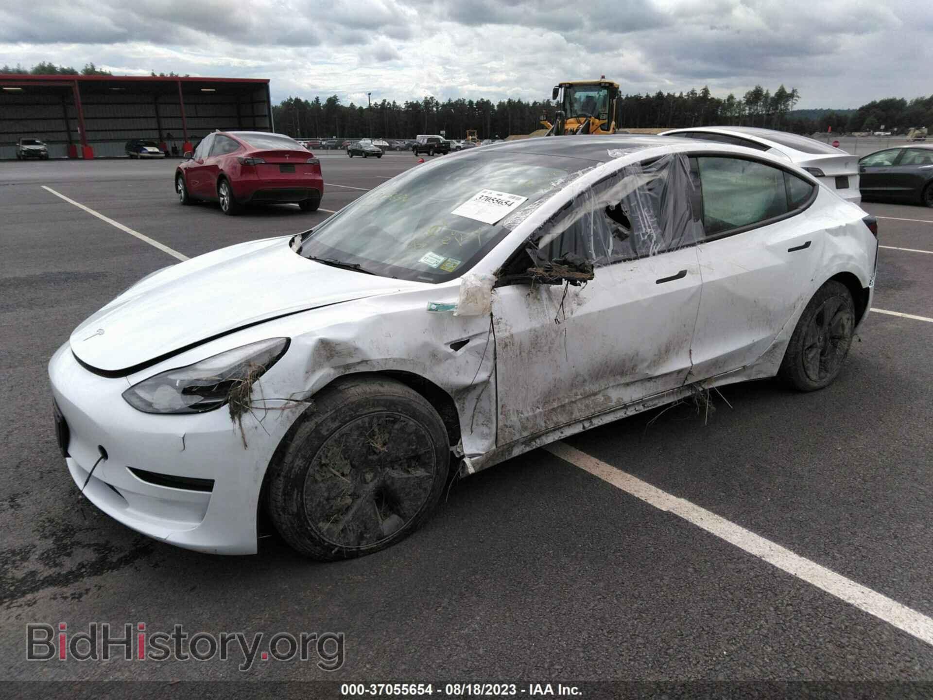 2023 TESLA MODEL 3 - VIN: 5YJ3E1EA7PF402406 - Фото 2
