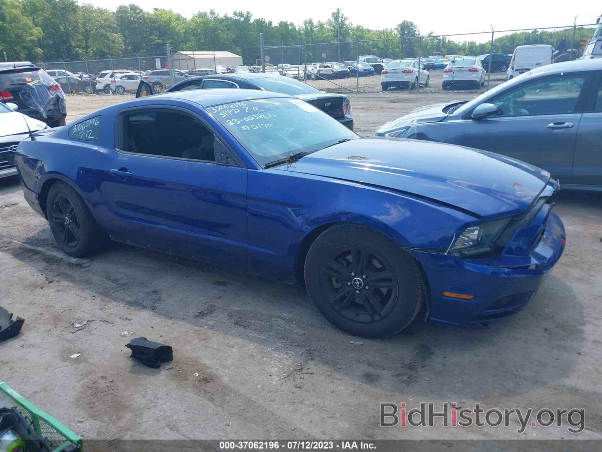 Photo 1ZVBP8AM7E5230789 - FORD MUSTANG 2014